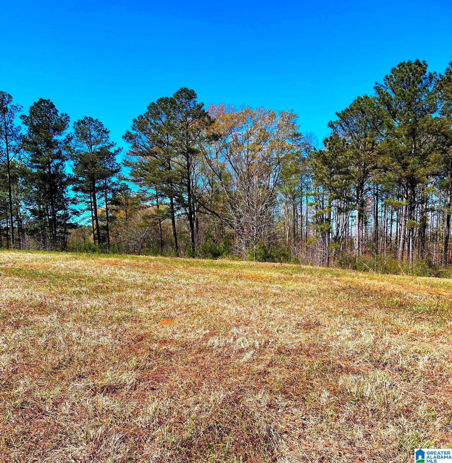 State Lake Road, Unit 20 Delta, AL 36258 - Photo 2 of 10