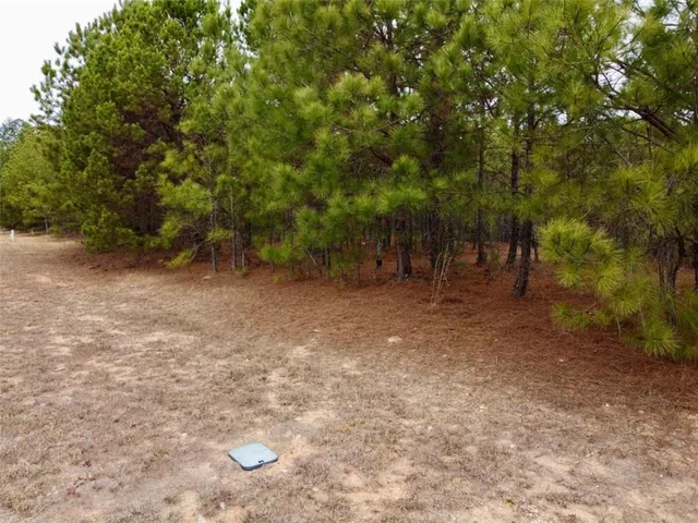a view of outdoor space with trees