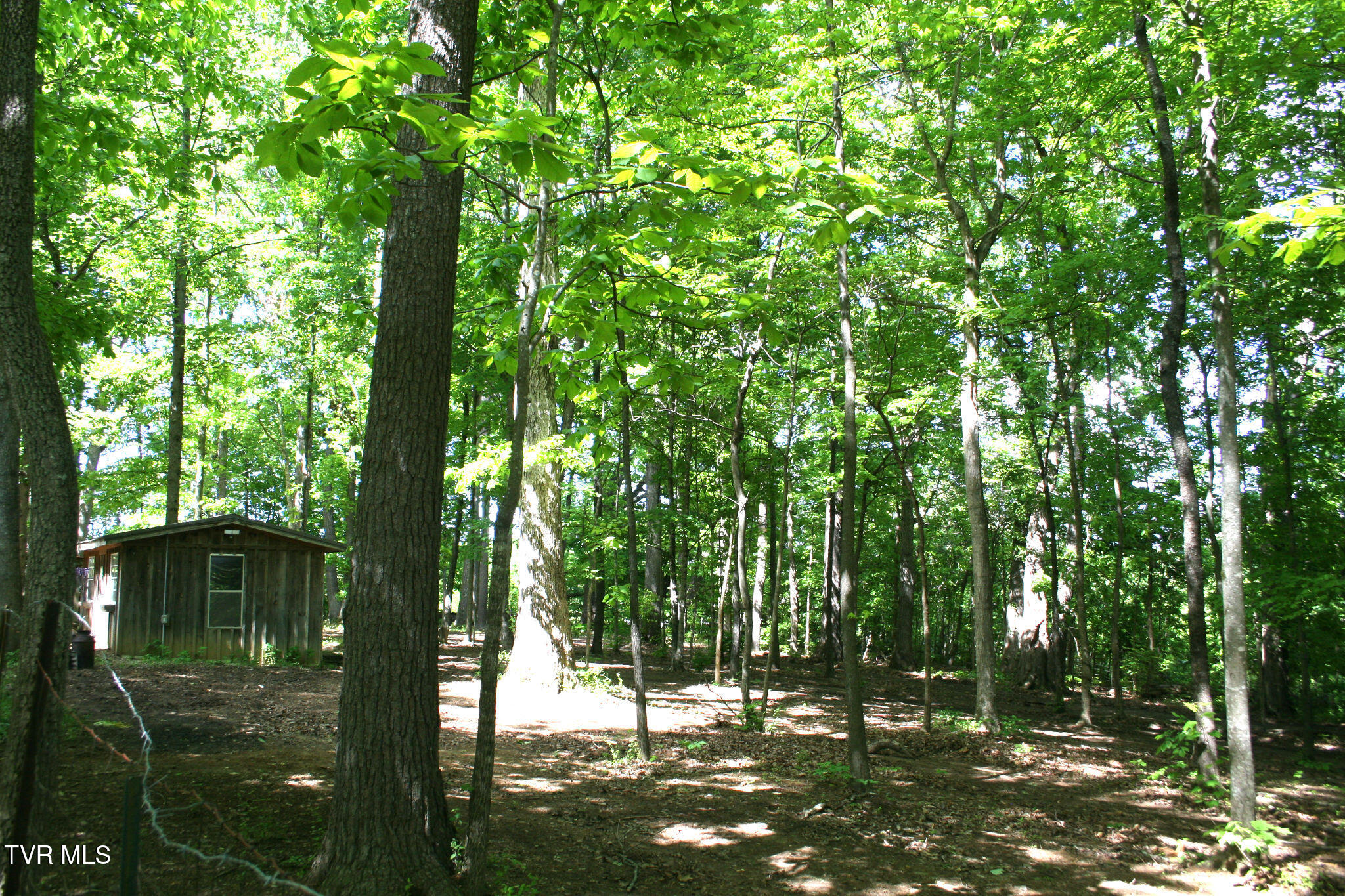 130 Kenneth Foster Road Chuckey, TN 37641 - Photo 43 of 60 IMG_0062