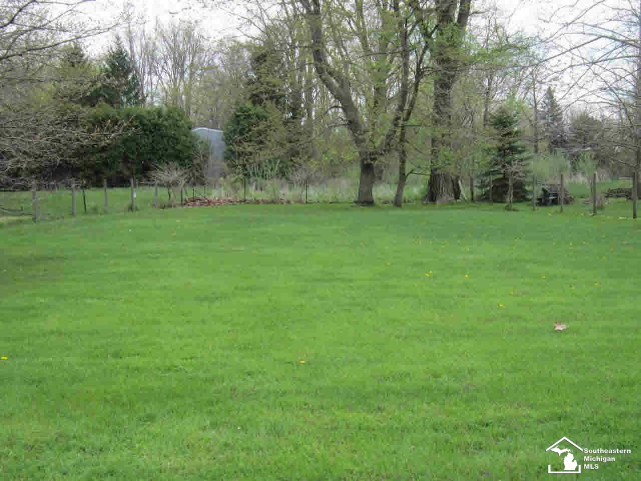 9770 Summerfield Road Temperance, MI 48182 - Photo 7 of 20 Rear Yard