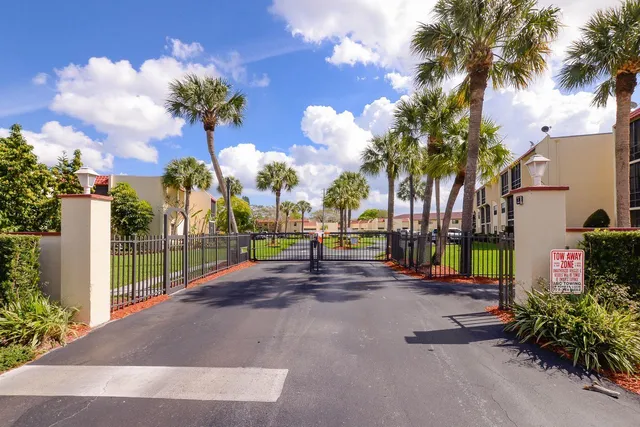 a view of a park with palm trees