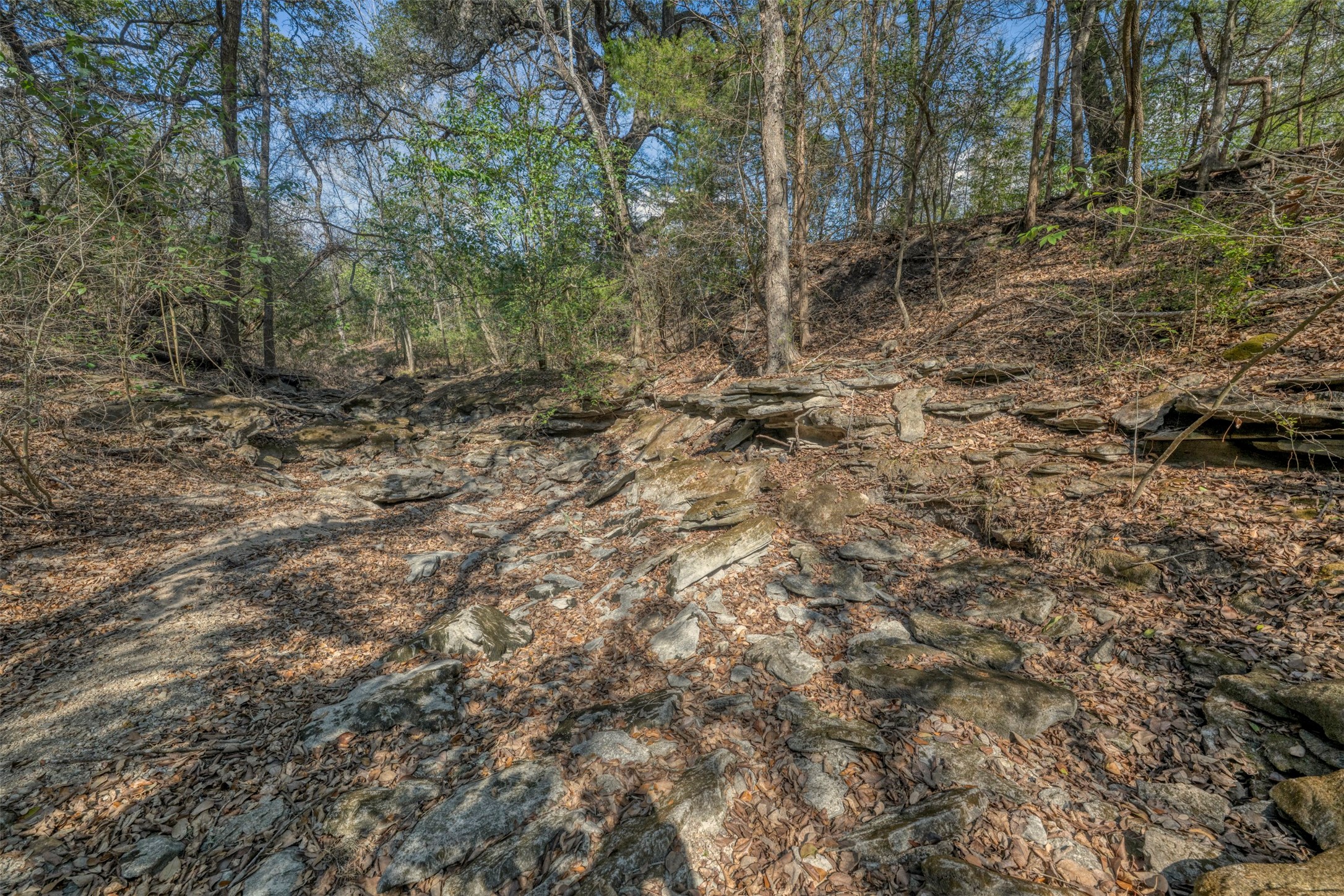 6807 Winedale Road Burton, TX 77835 - Photo 14 of 27 a view of a forest with trees