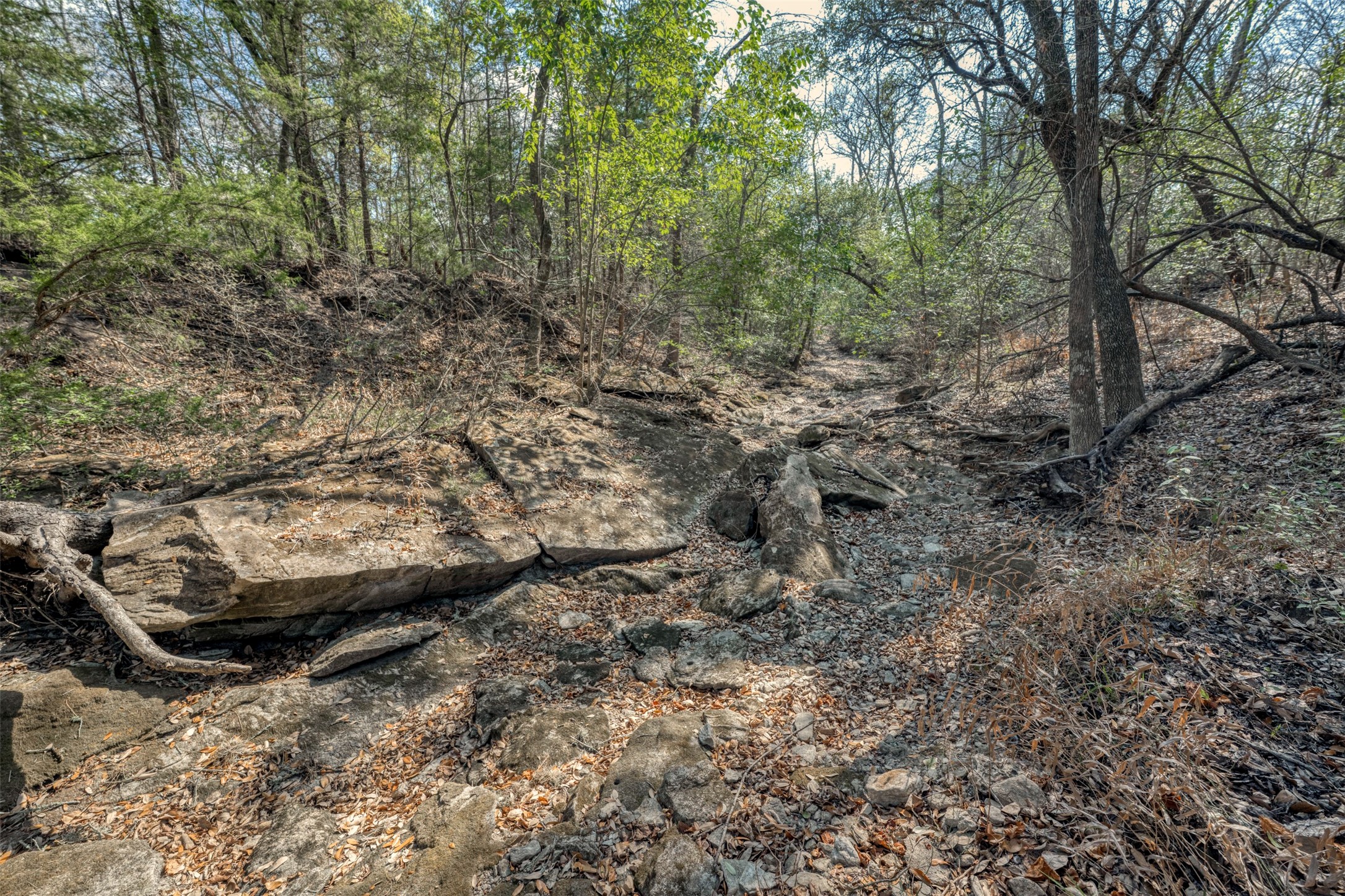 6807 Winedale Road Burton, TX 77835 - Photo 20 of 27 a view of forest