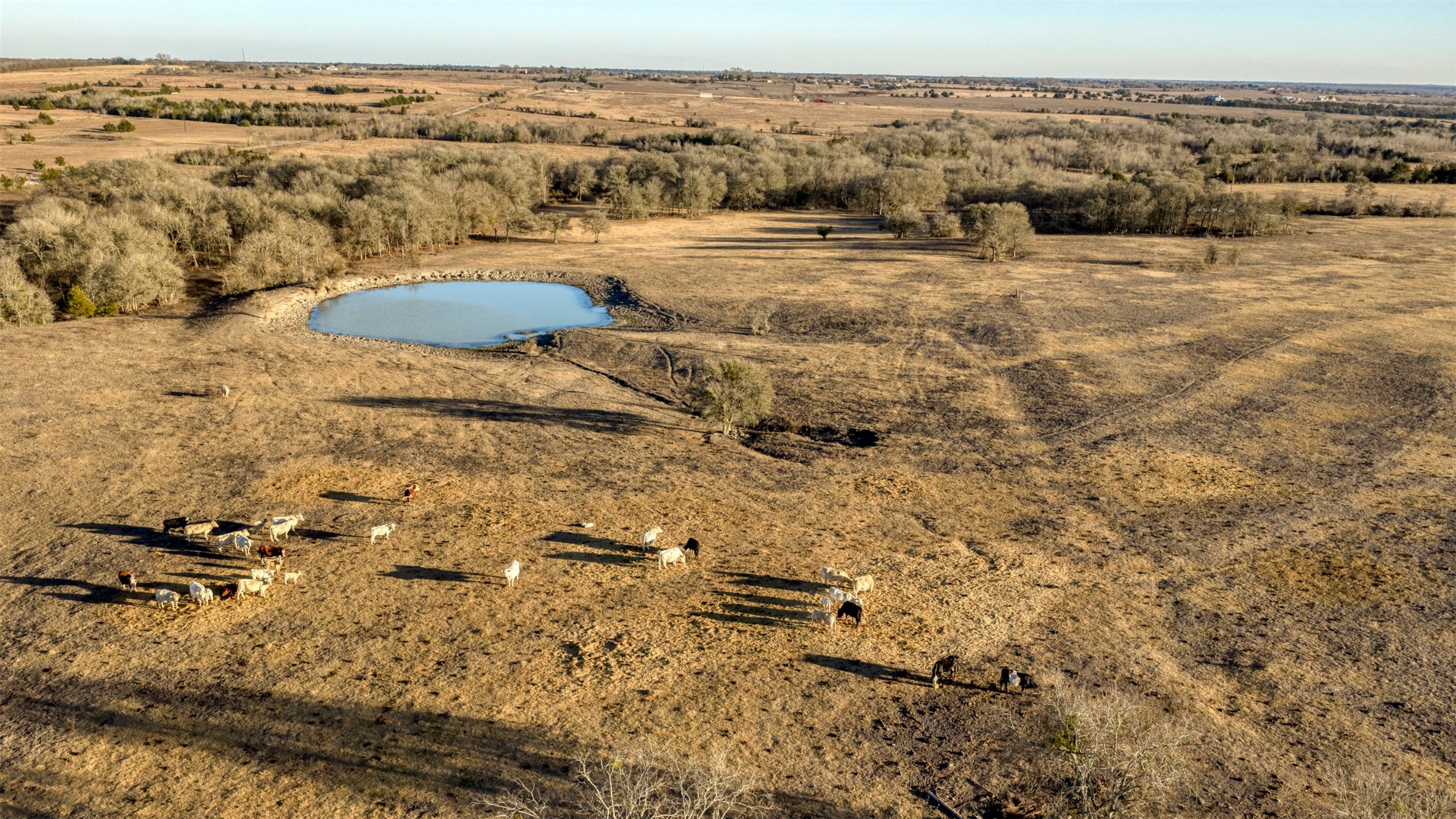 6807 Winedale Road Burton, TX 77835 - Photo 21 of 27 a view of outdoor space and ocean