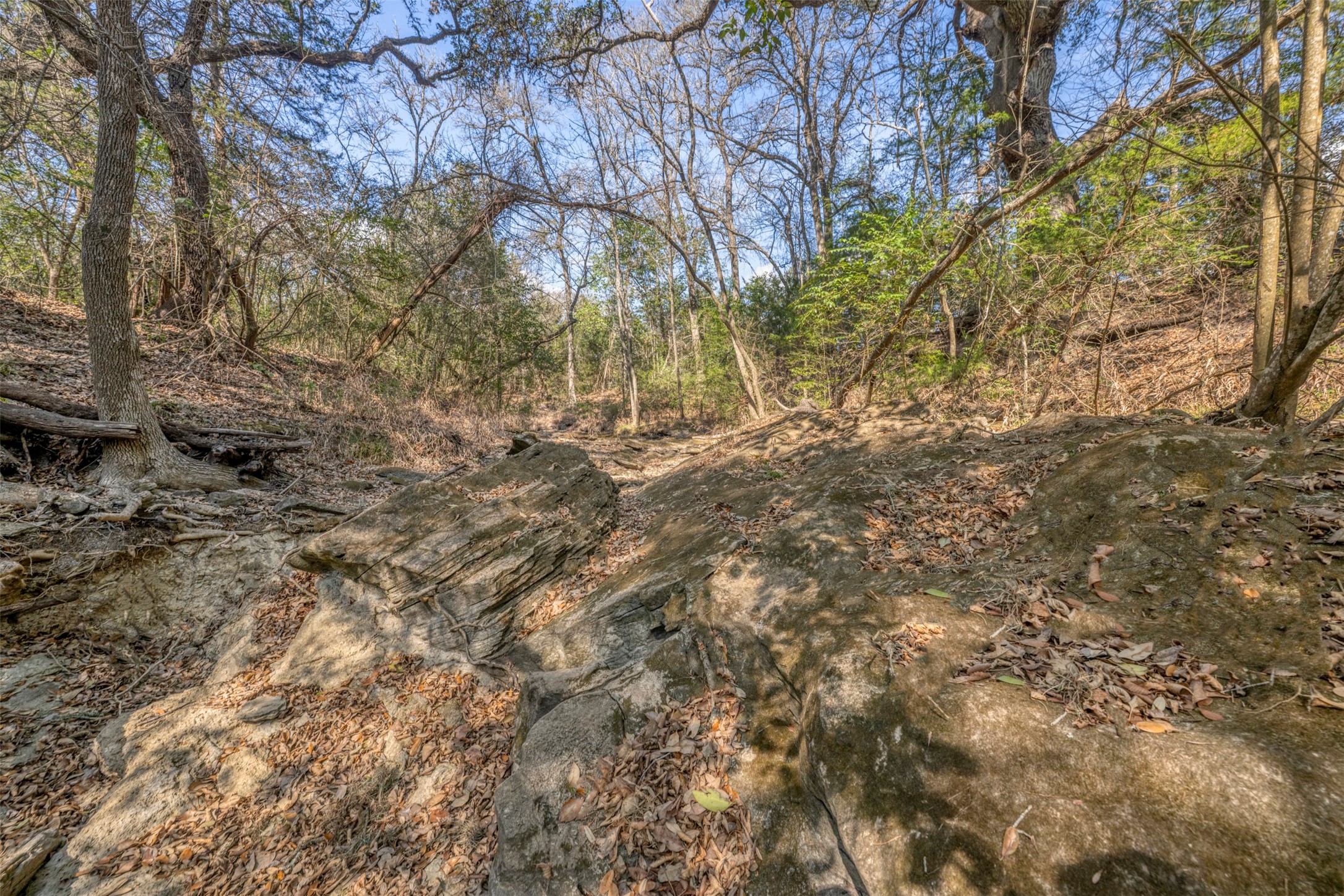 6807 Winedale Road Burton, TX 77835 - Photo 25 of 27 a view of forest