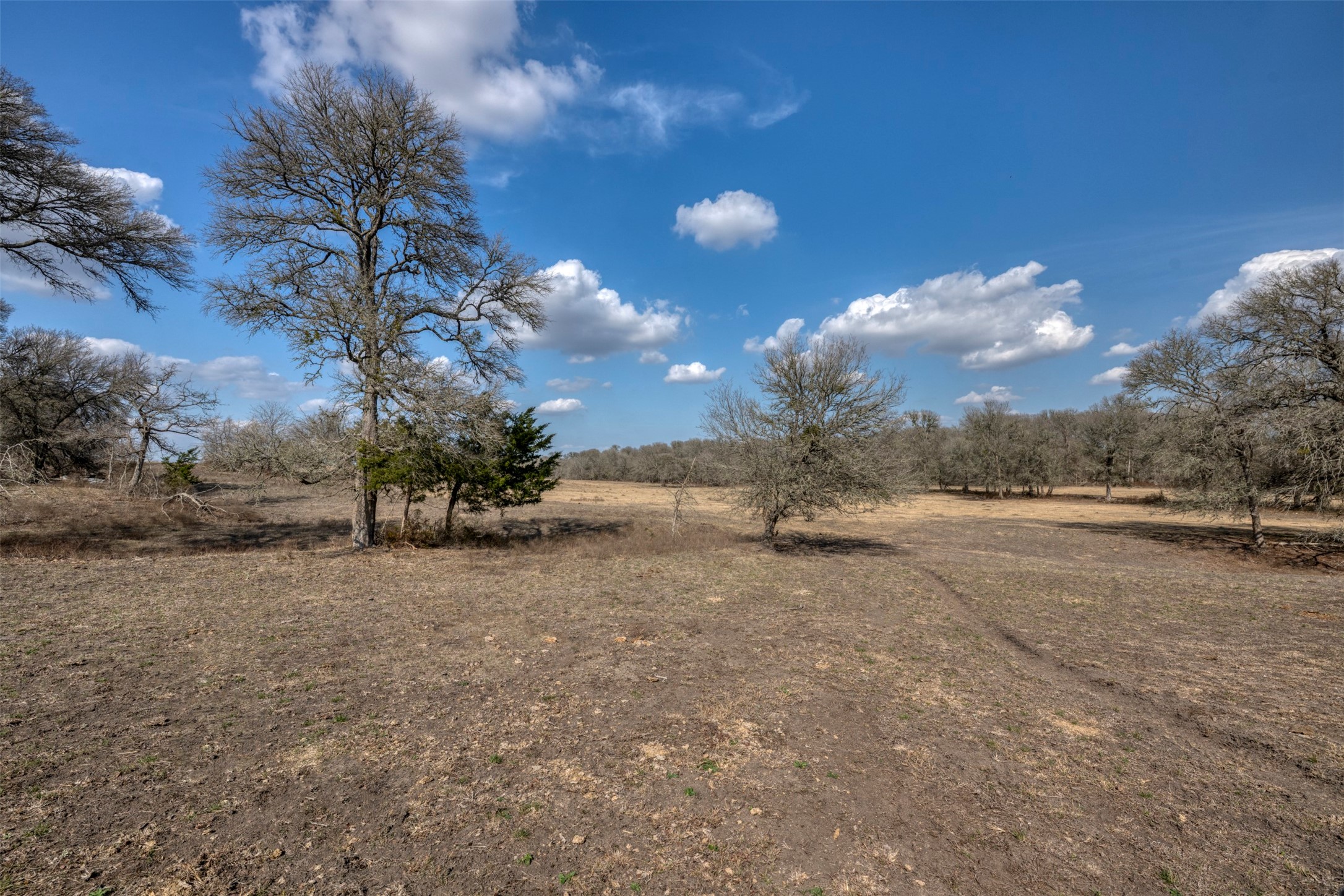 6807 Winedale Road Burton, TX 77835 - Photo 27 of 27