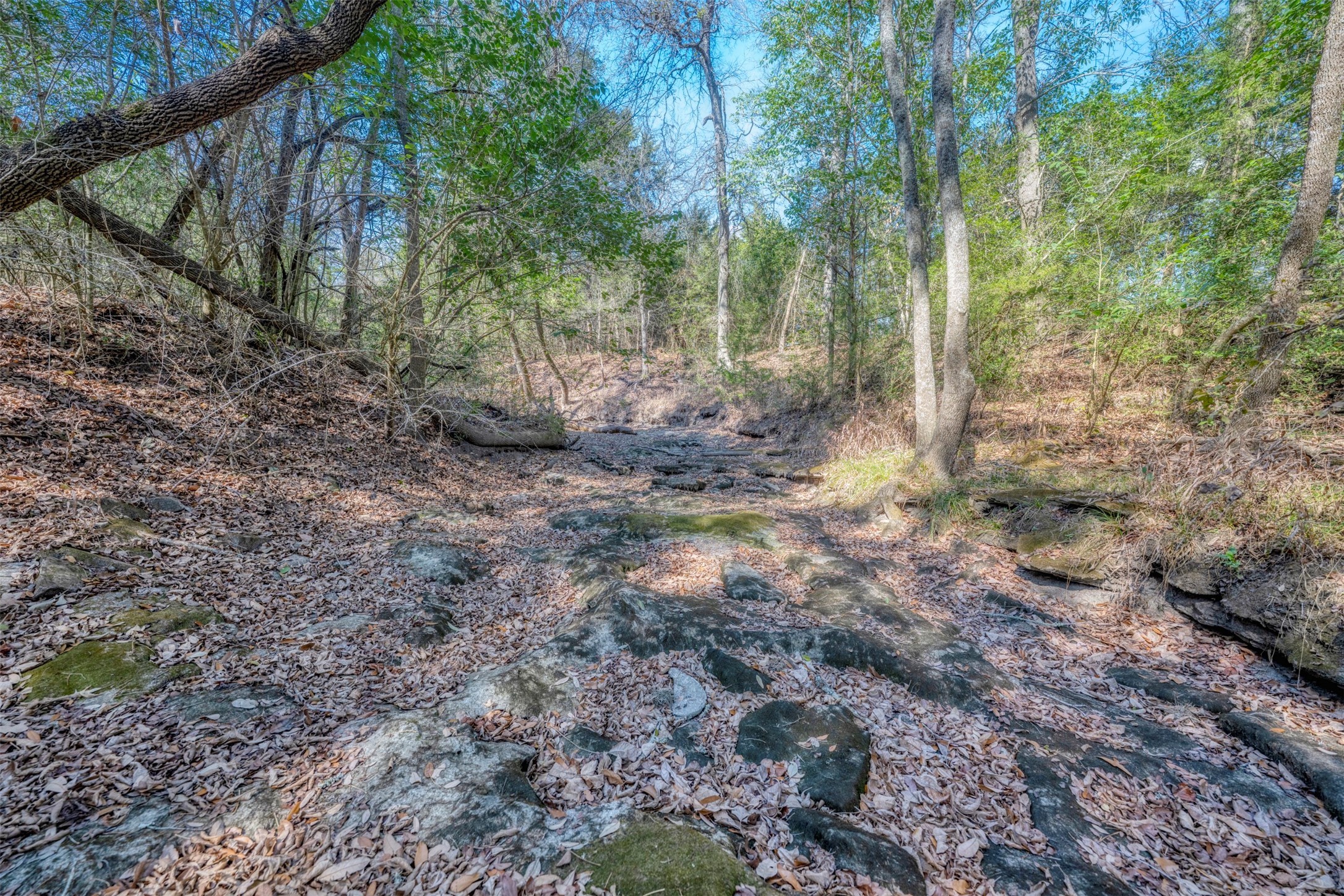 6807 Winedale Road Burton, TX 77835 - Photo 3 of 27 a backyard of a house with lots of green space