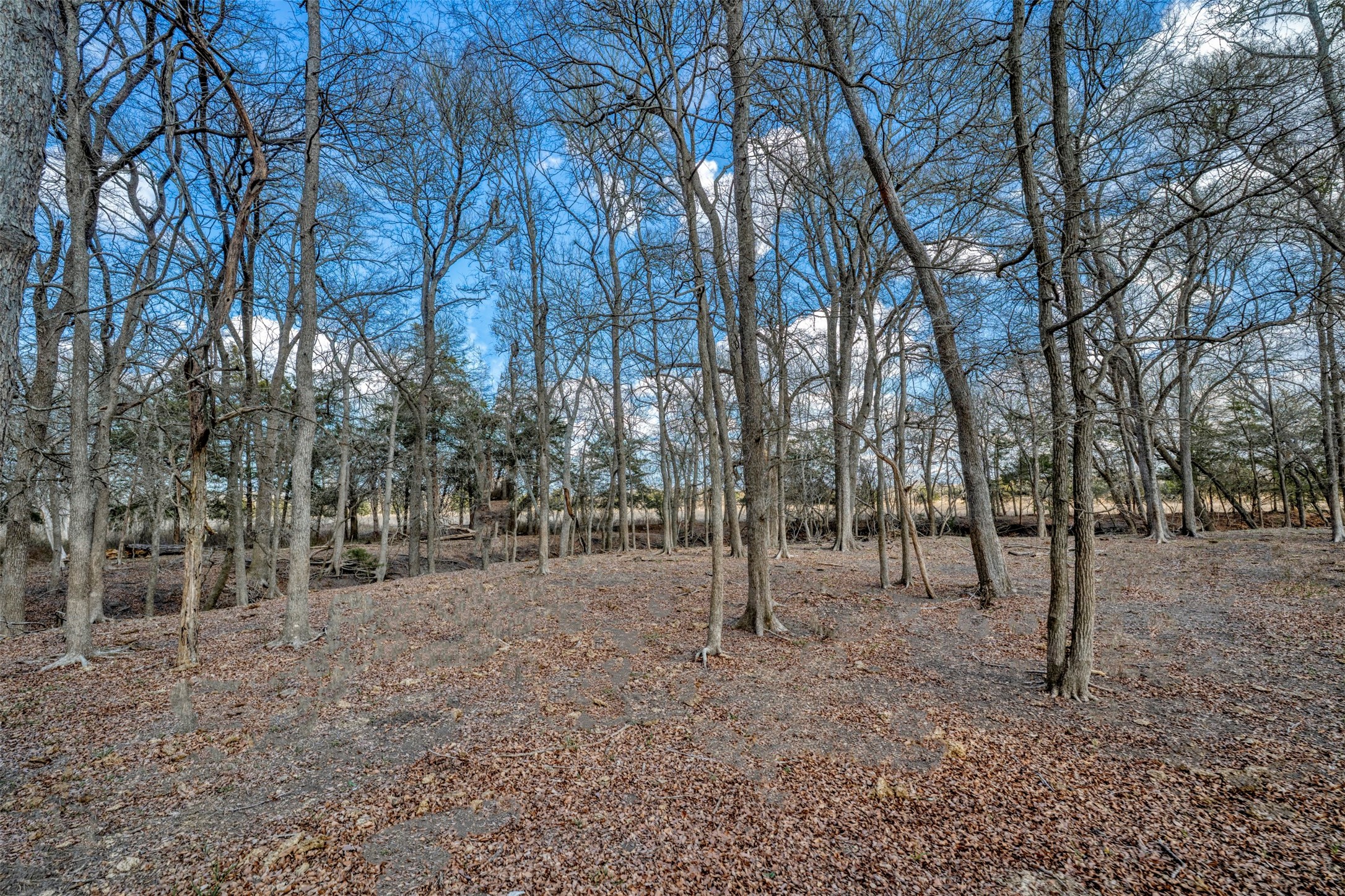 6807 Winedale Road Burton, TX 77835 - Photo 4 of 27