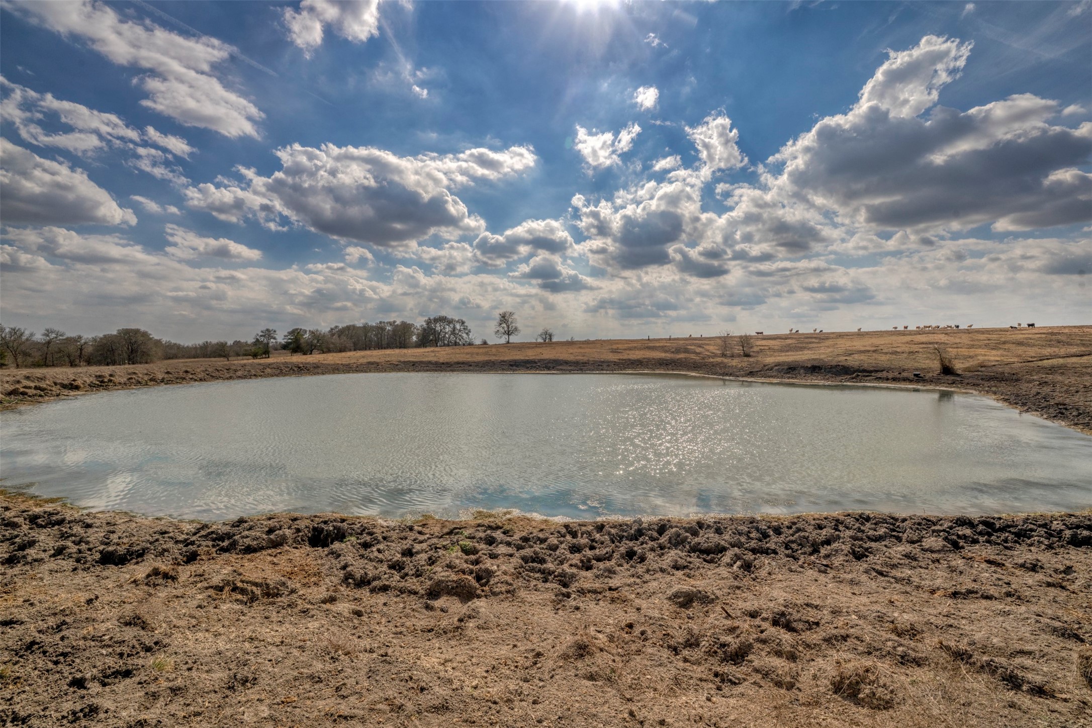 6807 Winedale Road Burton, TX 77835 - Photo 7 of 27 a view of a lake view