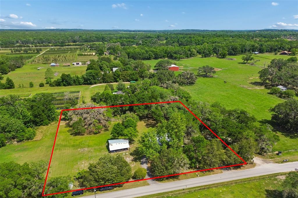 17114 Brittle Road Brooksville, FL 34601 - Photo 49 of 52