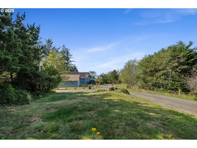 a view of a big yard with a large tree