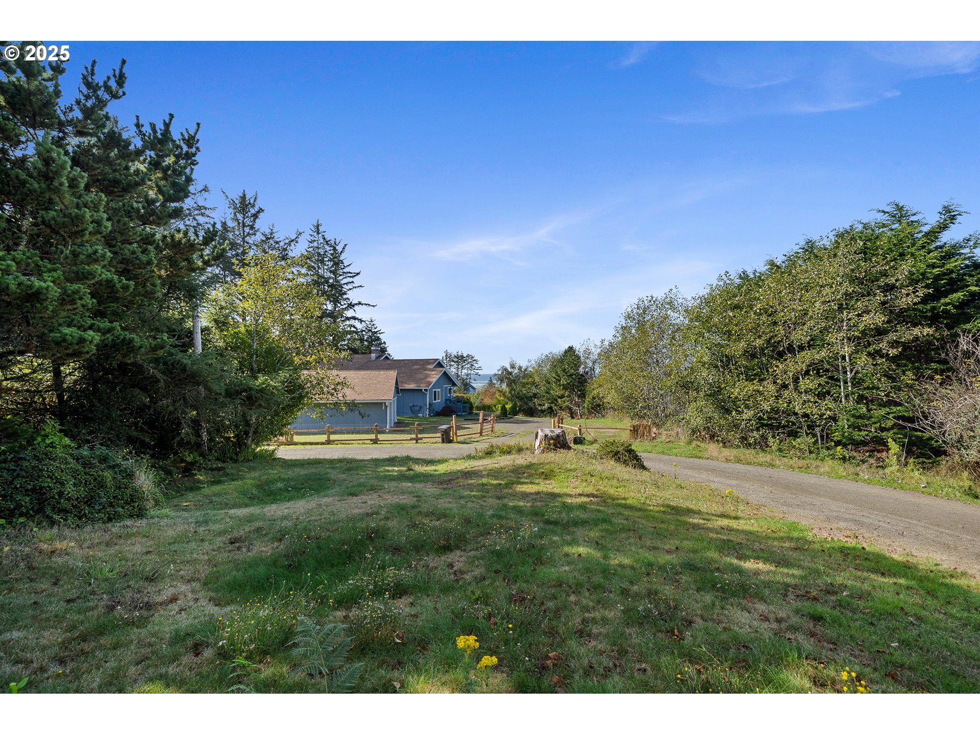 4900 Clam Way Tillamook, OR 97141 - Photo 5 of 30 a view of a big yard with a large tree