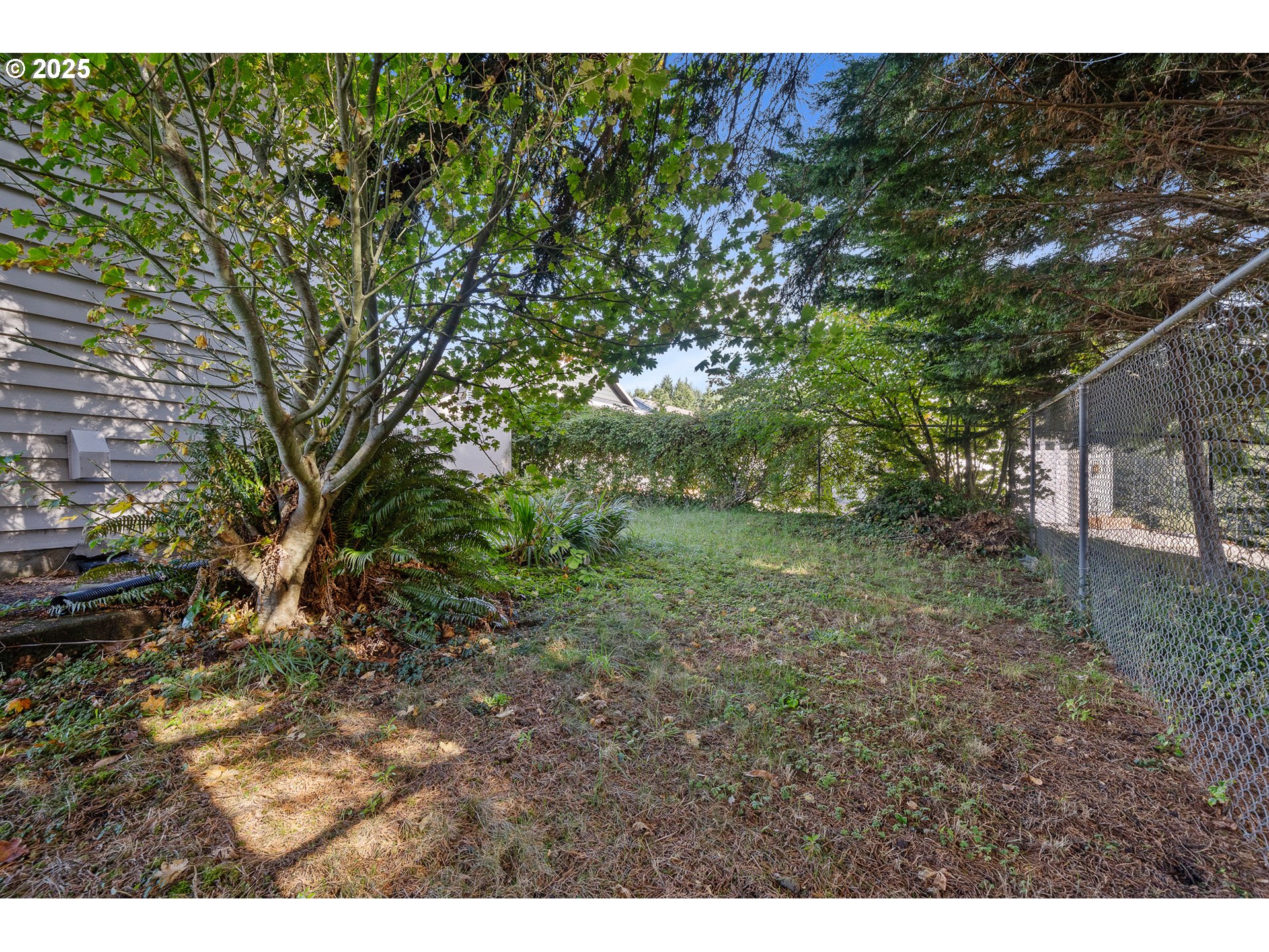 4900 Clam Way Tillamook, OR 97141 - Photo 10 of 30 a view of a yard with plants and large trees