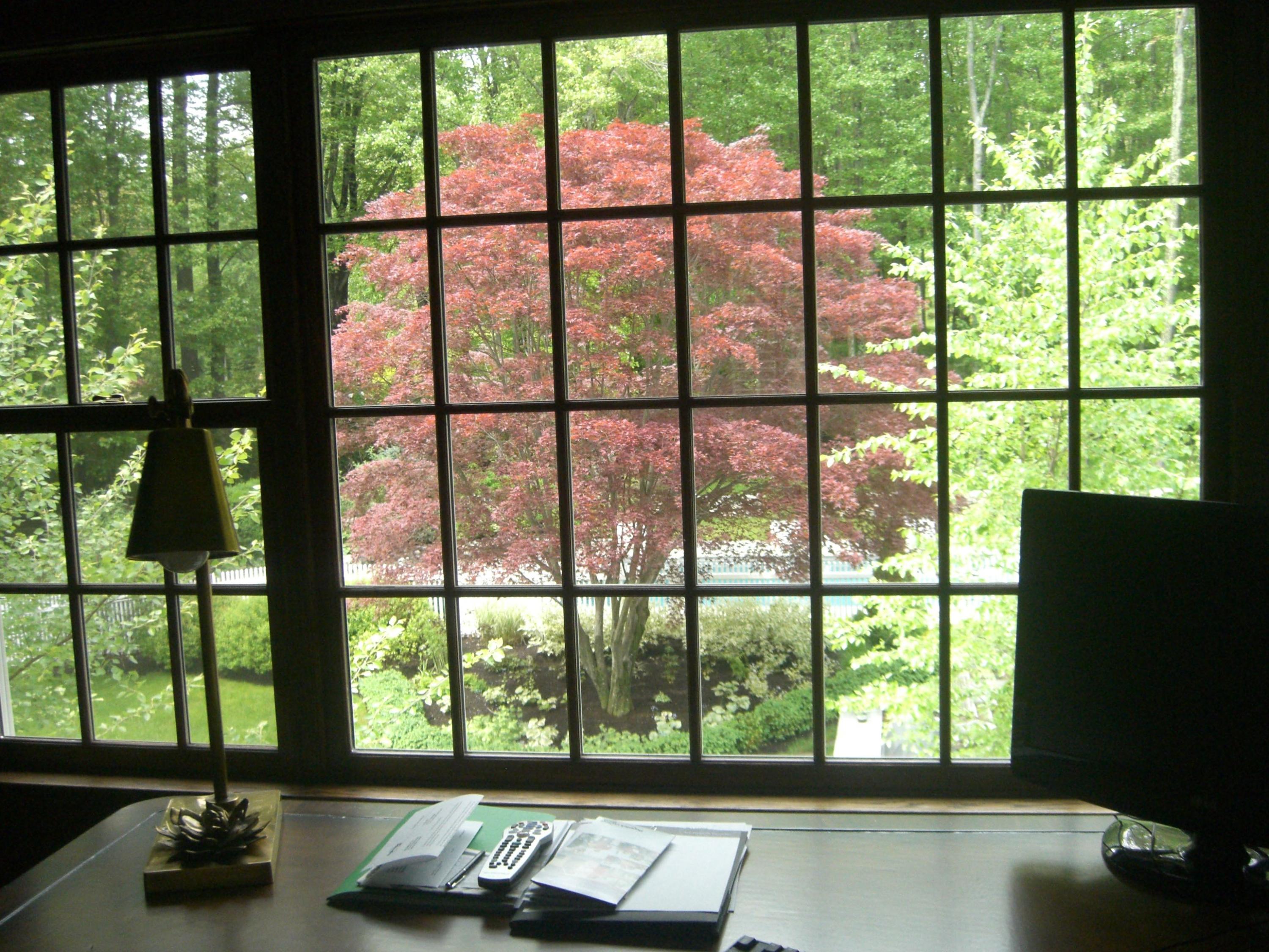 183 Turtle Back Road New Canaan, CT 06840 - Photo 33 of 53 Library