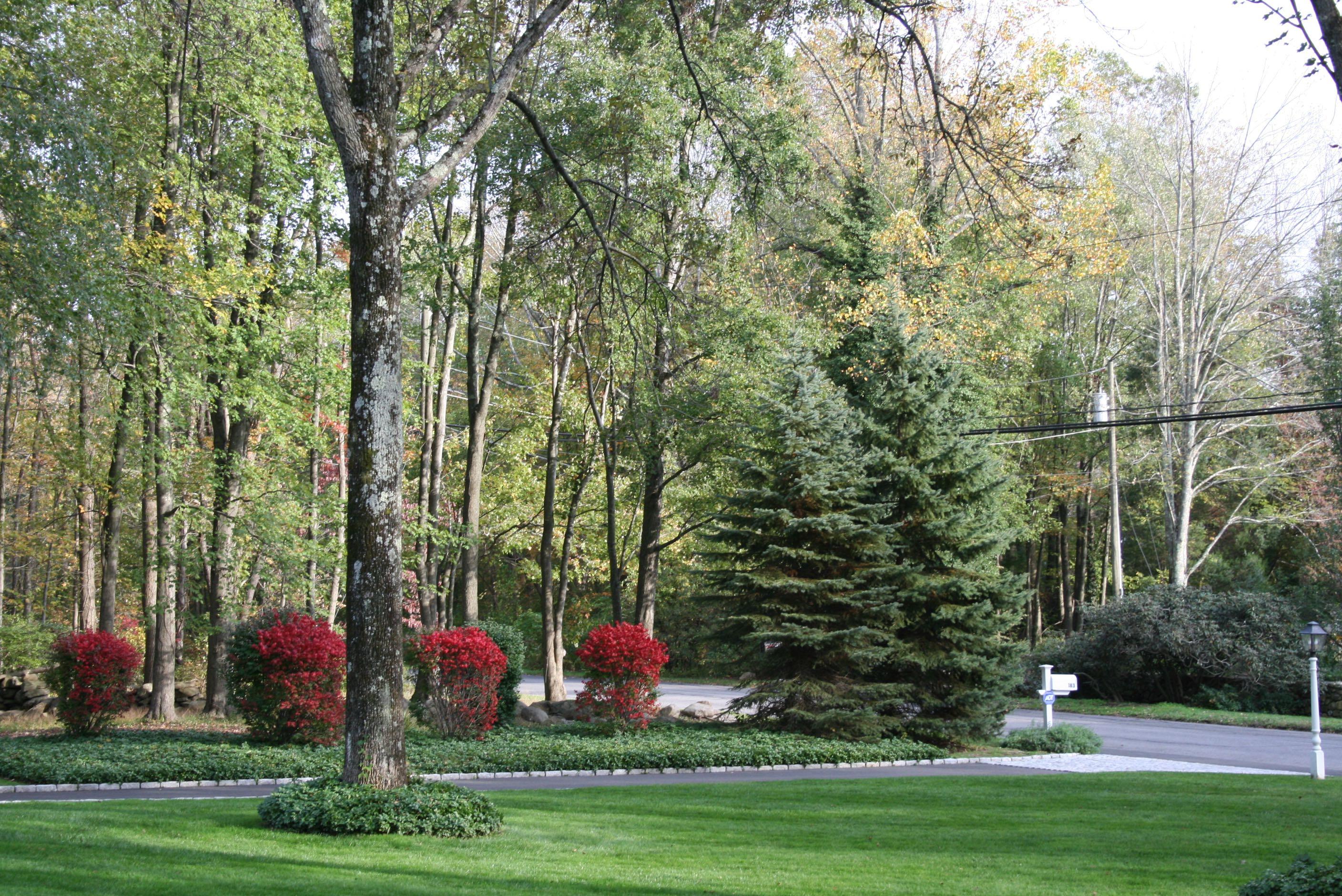 183 Turtle Back Road New Canaan, CT 06840 - Photo 9 of 53 a view of a park