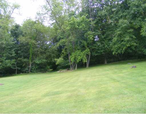 395 Lagonda Road Washington, PA 15301 - Photo 6 of 18 Land/Lot. Left side lawn to the woods line.