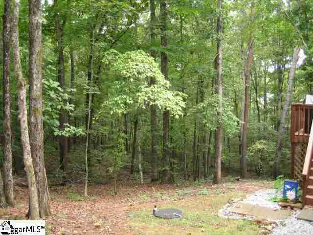 402 Blue Ridge Court Westminster, SC 29693 - Photo 14 of 20 Gallery Image 14