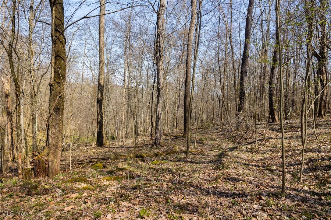 4880 Post Road Jewett, OH 43986 - Photo 25 of 50 Gallery Image 25