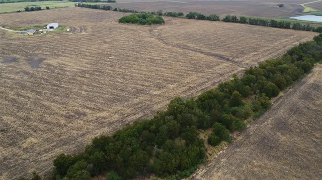 a view of a pathway both side of building