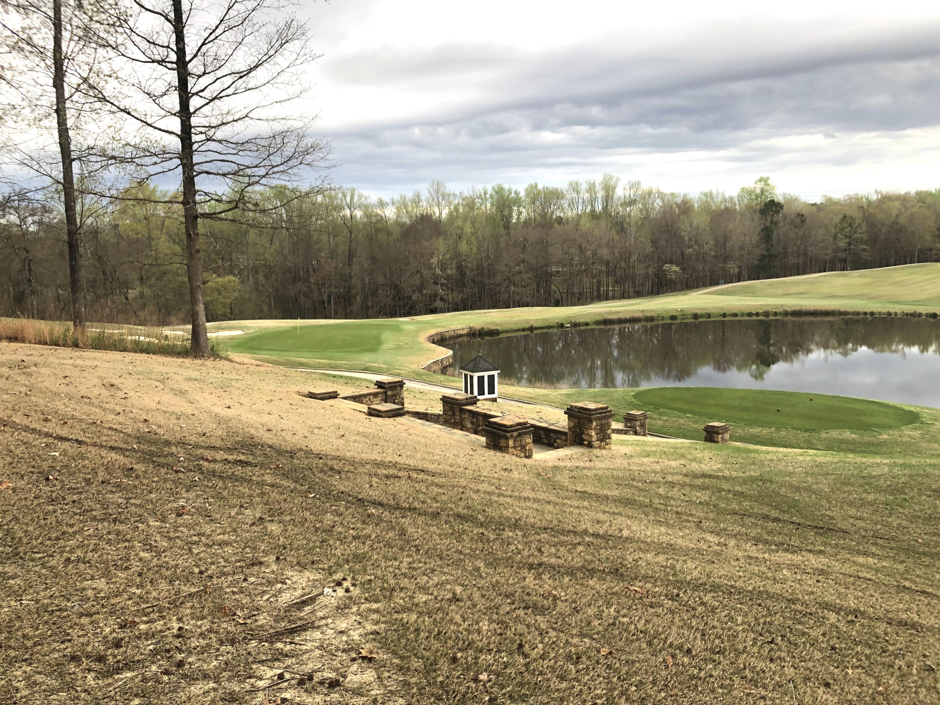 Lot G-15 James Booth Court North Augusta, SC 29860 - Photo 3 of 5 Rear View