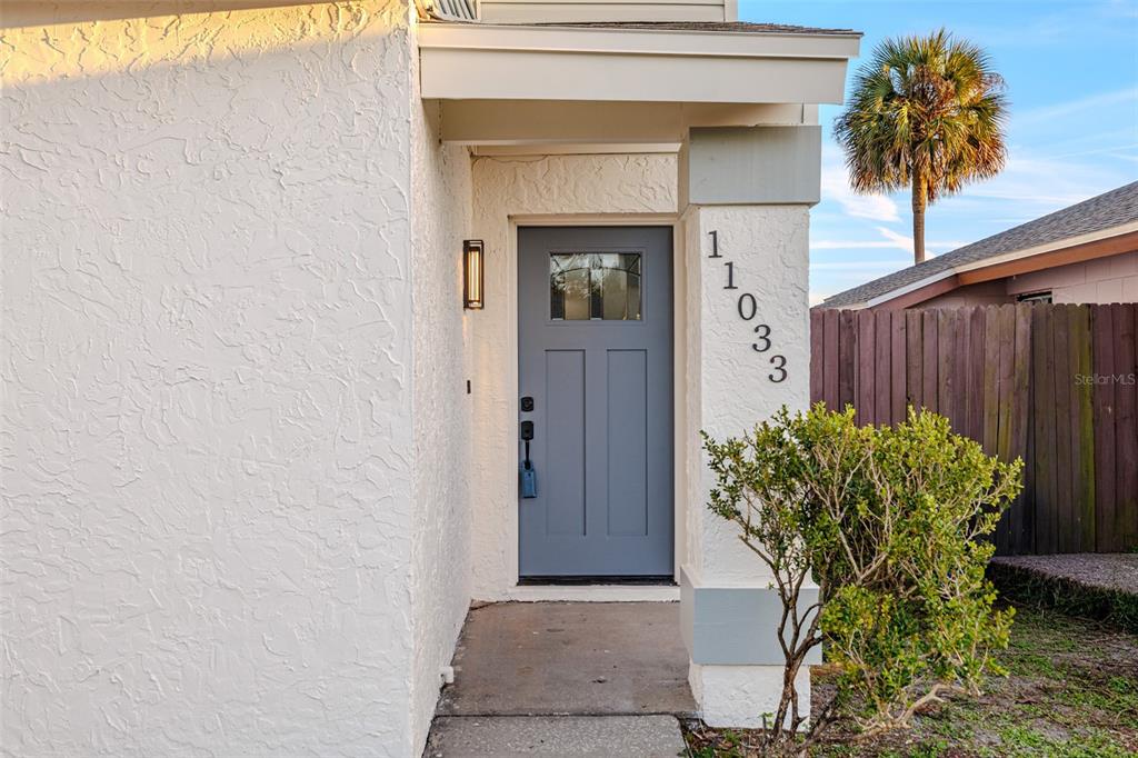 11033 Springridge Drive Tampa, FL 33624 - Photo 20 of 33 a potted plant in front of a door