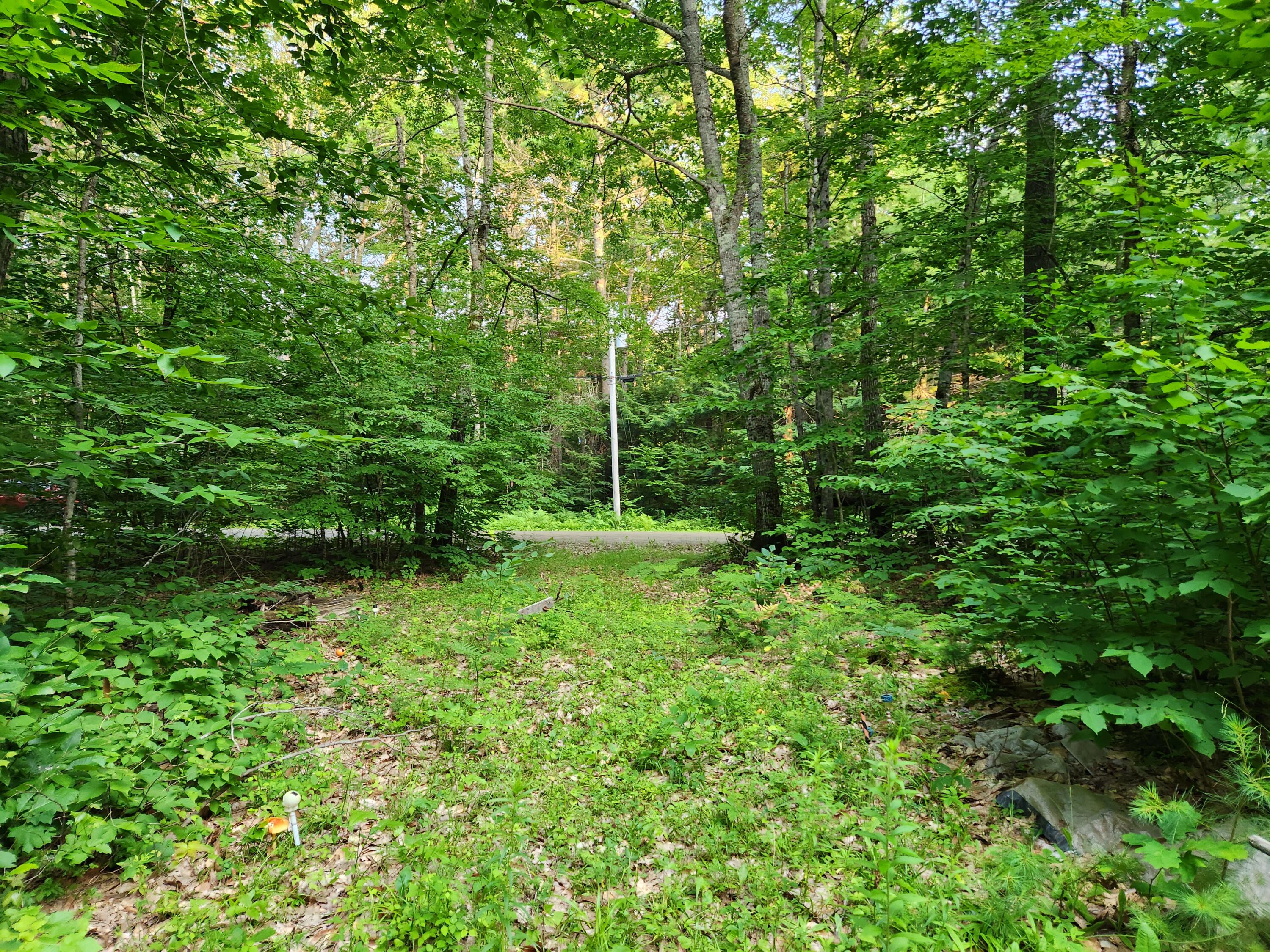 Map 35-lot Map 35-lot Gates Road Jefferson, ME 04348 - Photo 2 of 23 20230713_191843