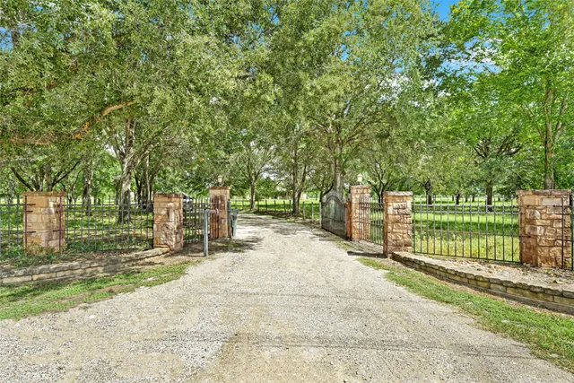 a view of a park with large trees