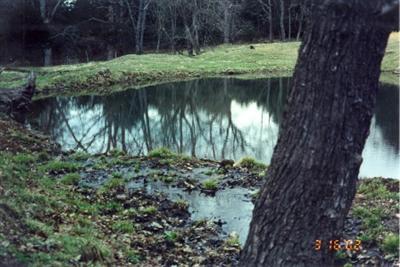 0 Pp & Farm Road Galena, MO 65656 - Photo 1 of 1 Primary Photo
