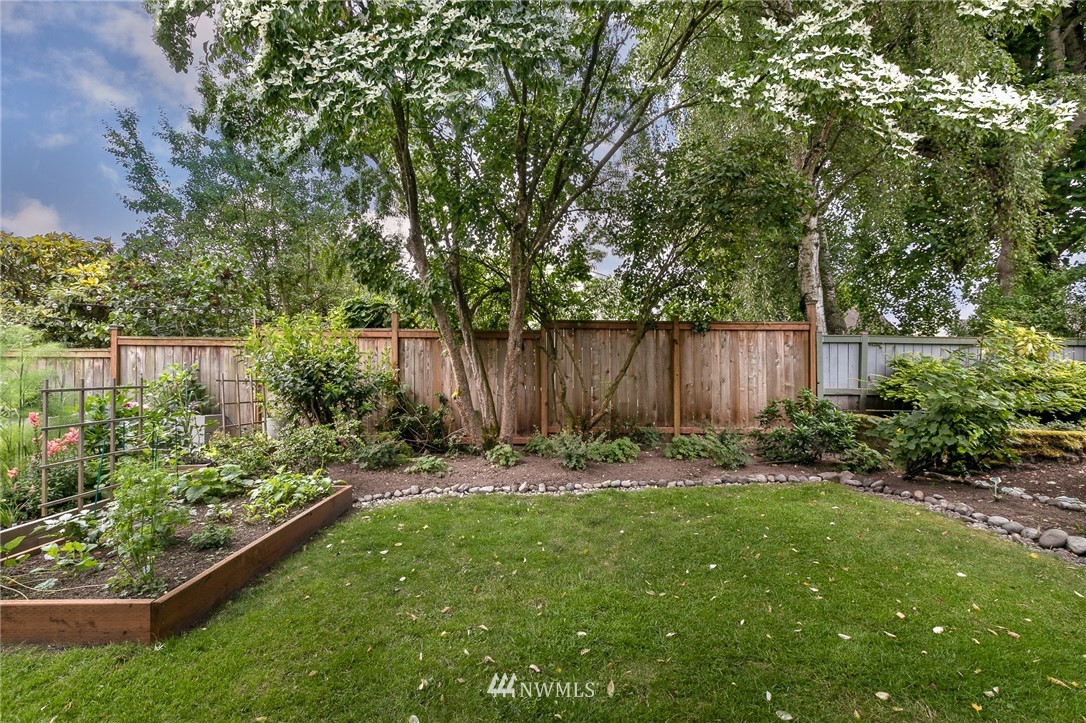 741 North 87th Street Seattle, WA 98103 - Photo 5 of 20 a backyard of a house with lots of green space