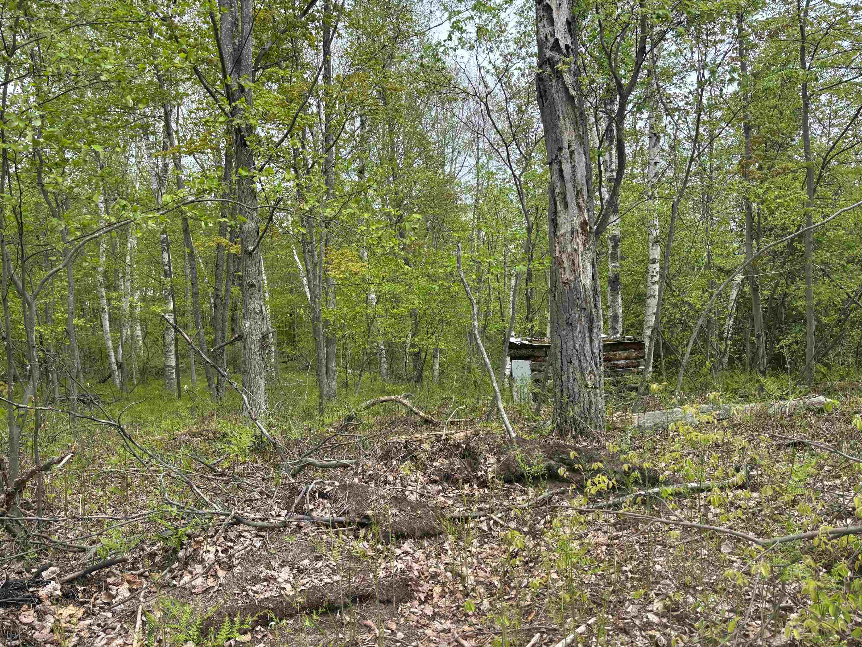 1240 Birch Ridge Road Gladwin, MI 48624 - Photo 31 of 41