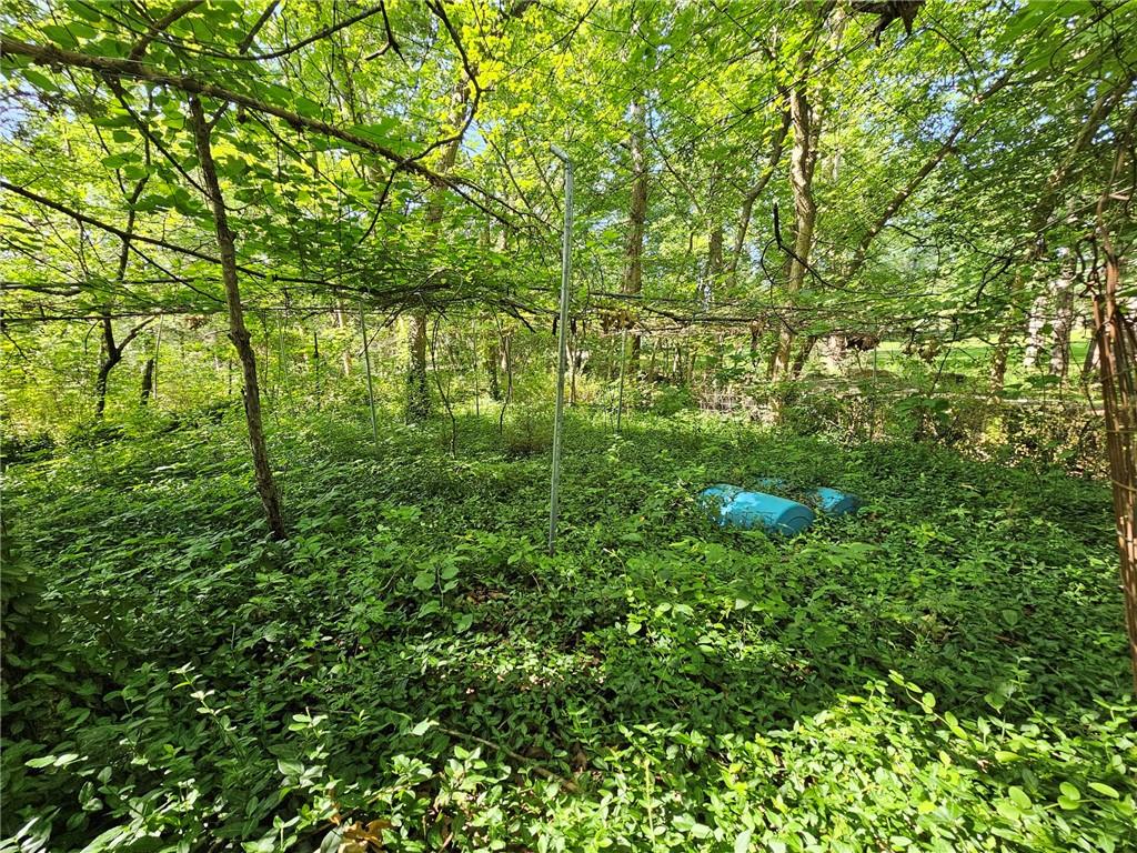 22303 County 253 Road Wheatland, MO 65779 - Photo 32 of 35