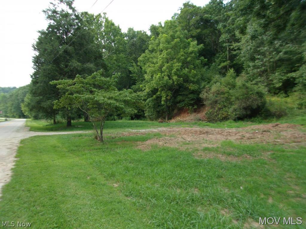 0 Deerwalk Road Walker, WV 26180 - Photo 1 of 3 Gallery Image 1