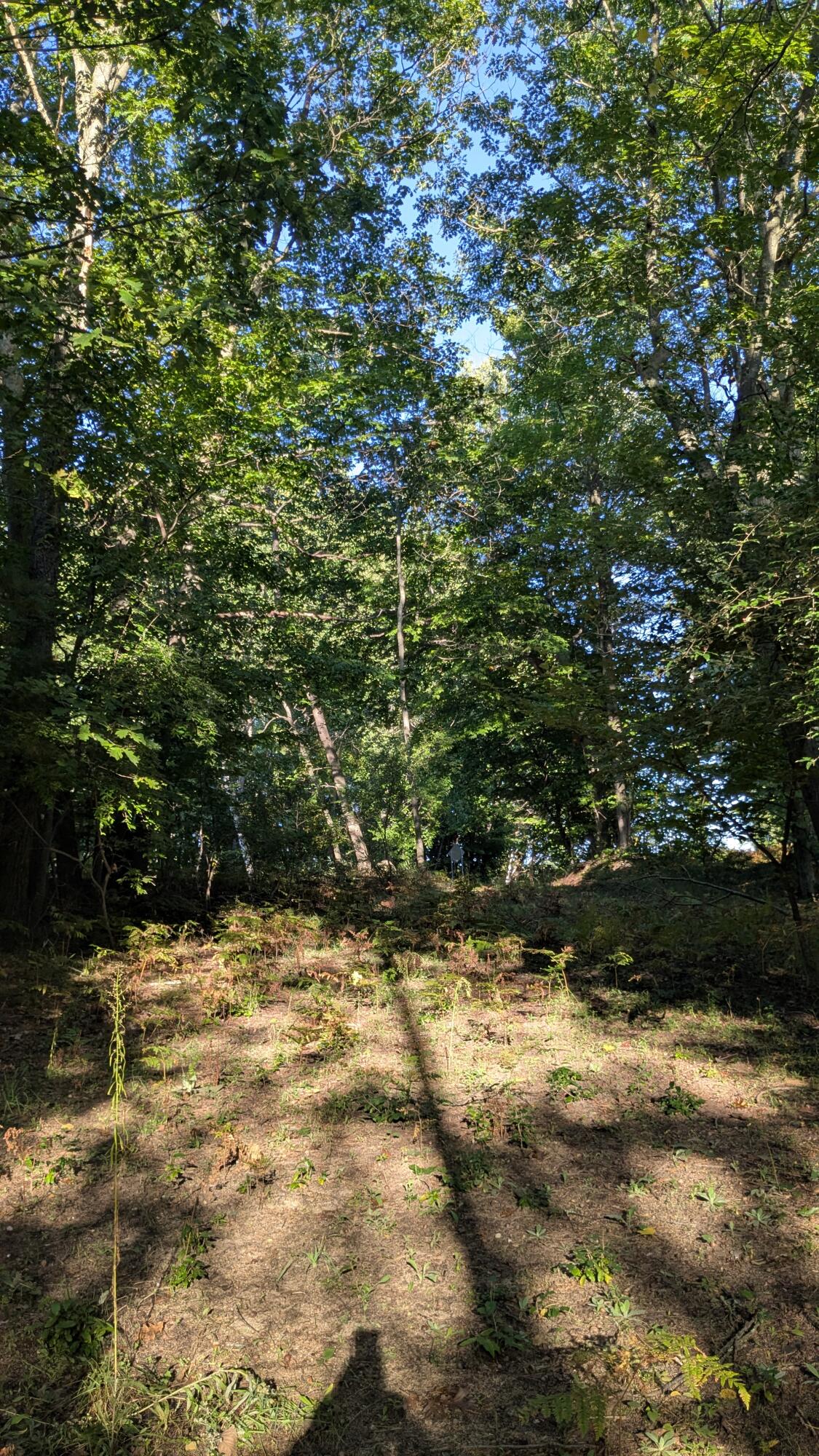 Maidens Road Onekama, MI 49675 - Photo 11 of 16 Potential Lake MI views