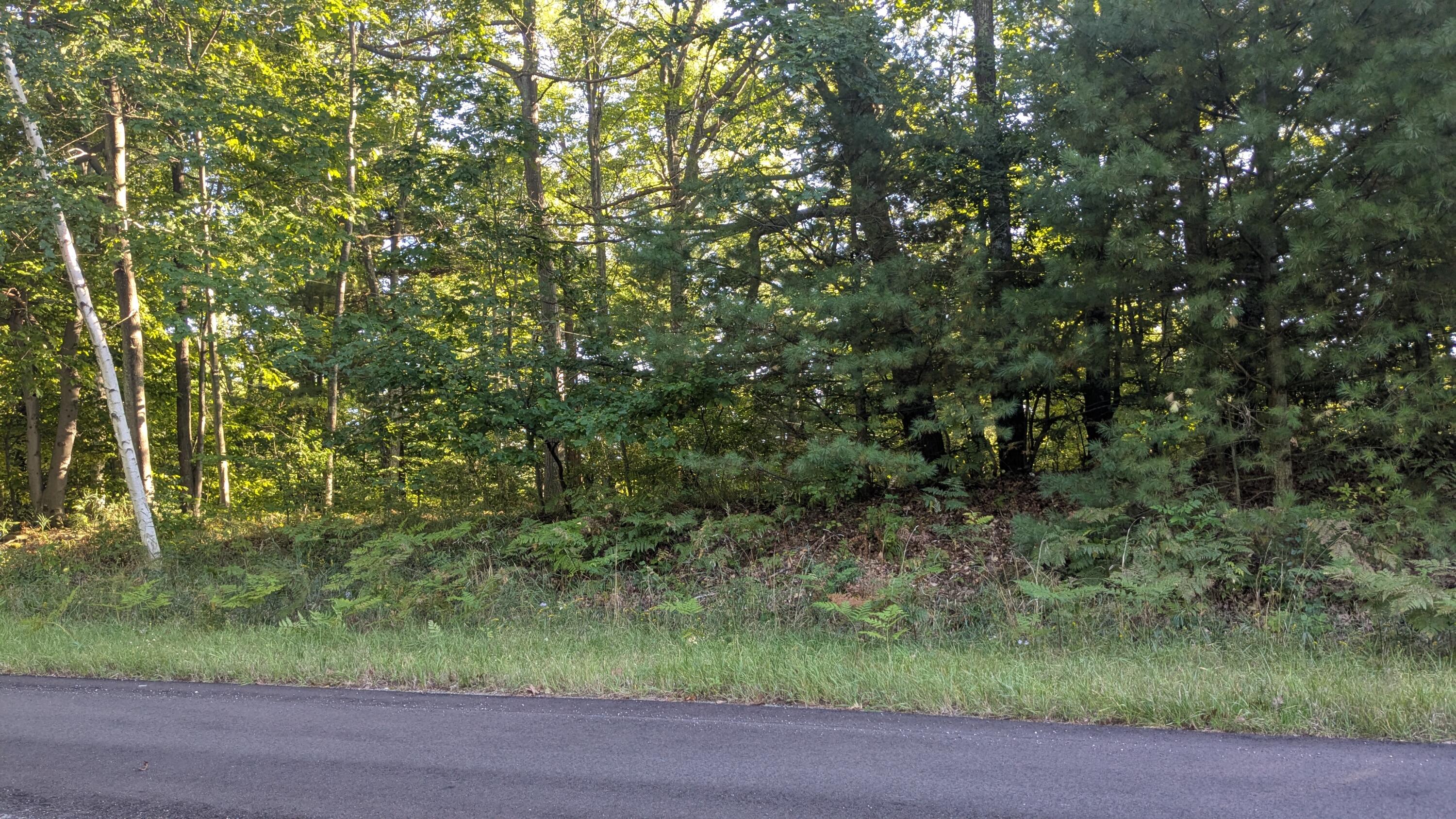 Maidens Road Onekama, MI 49675 - Photo 4 of 16 From Maidens Road