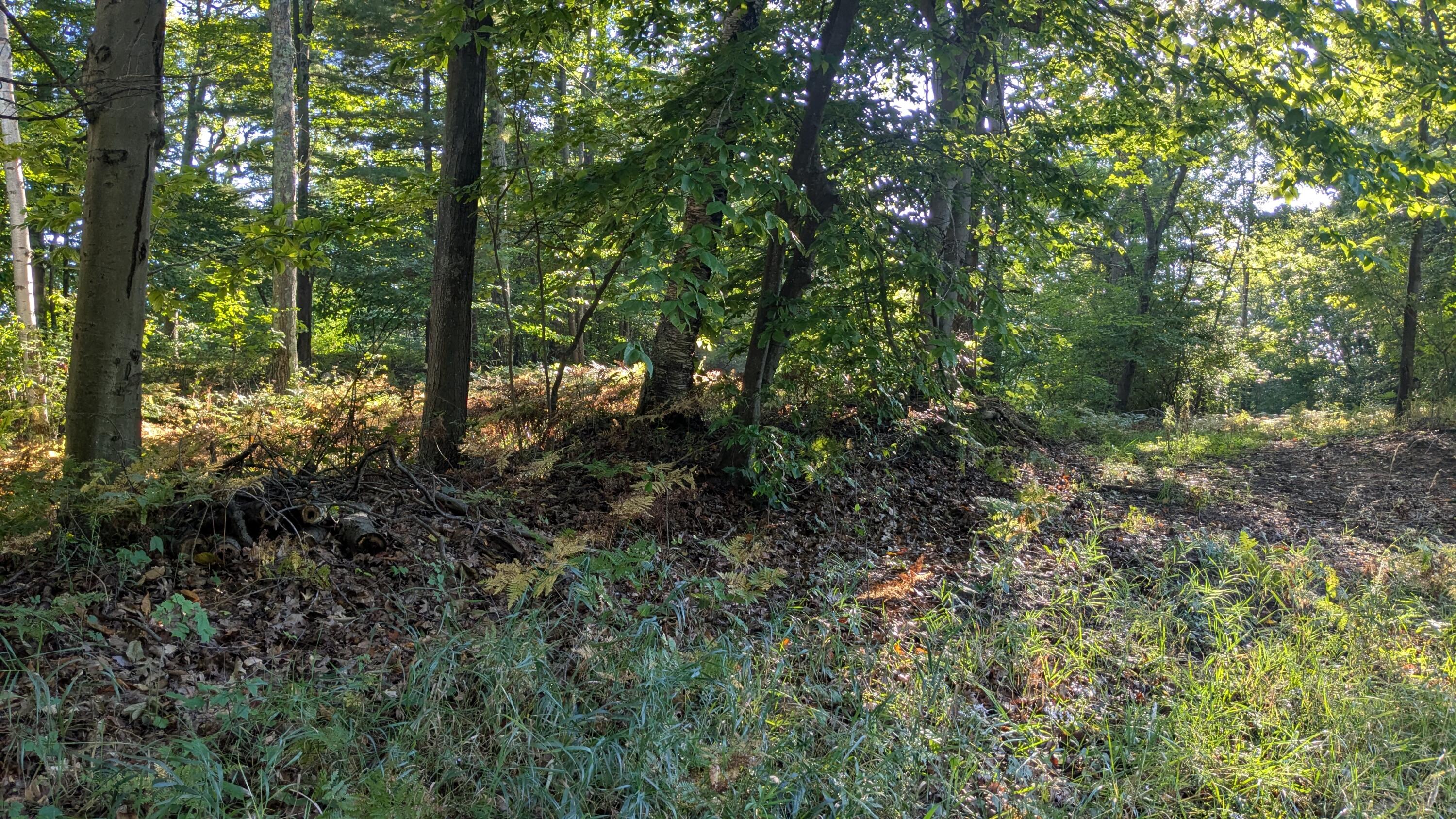 Maidens Road Onekama, MI 49675 - Photo 8 of 16 Privacy Options