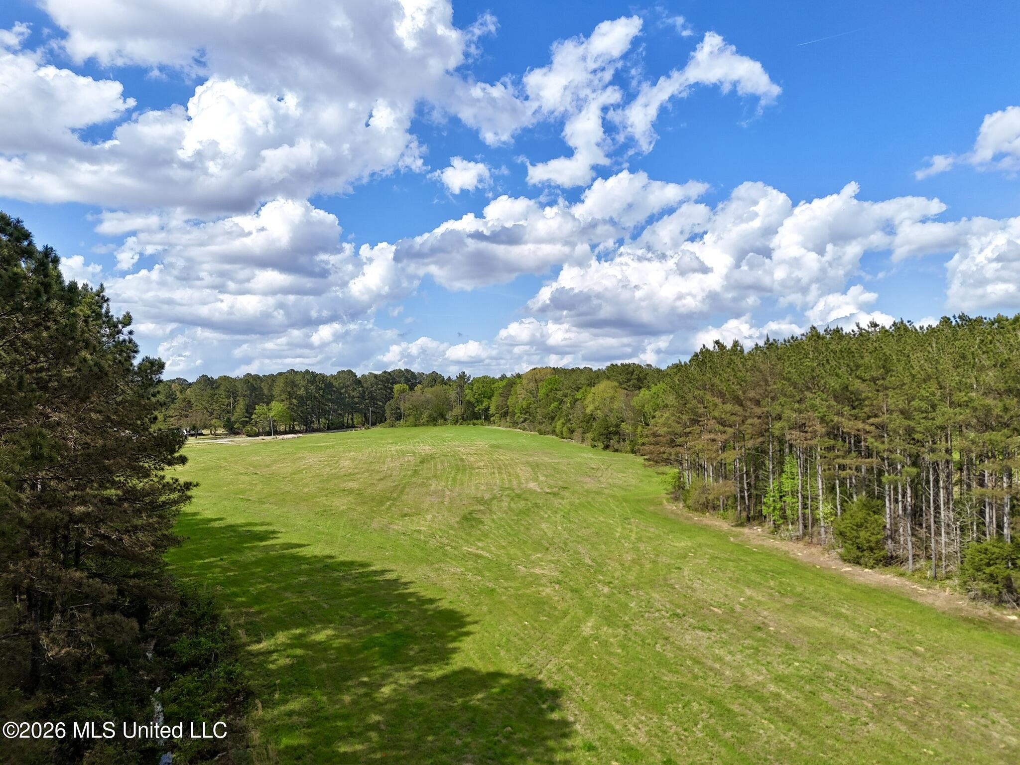 33 Stump Bridge Road Canton, MS 39046 - Photo 7 of 24 4ED98971-E59F-413E-8E14-CDA23BE04281_1_1