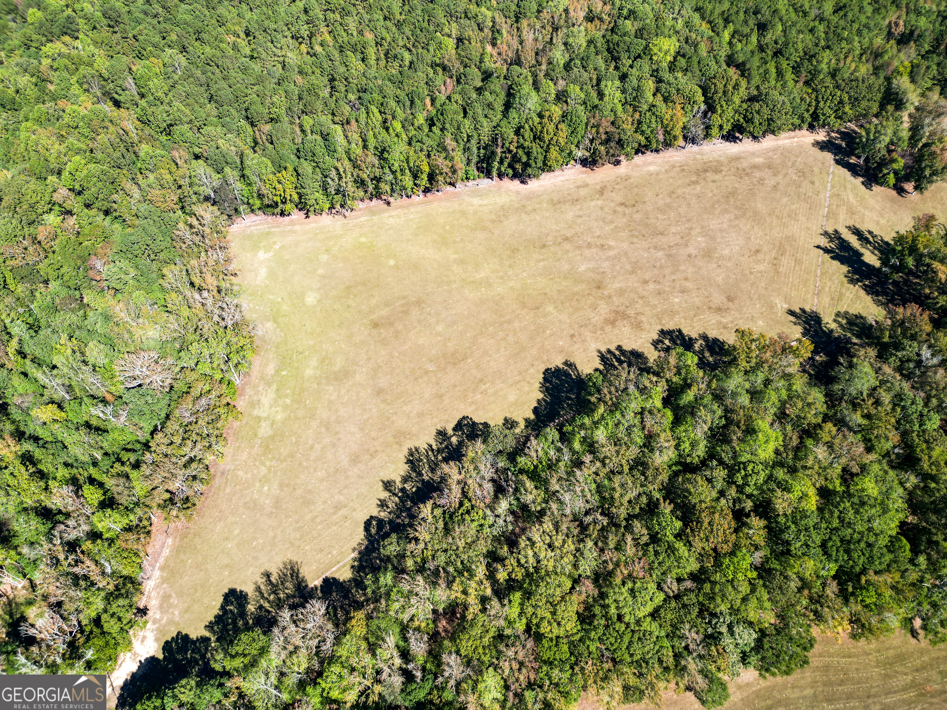 186 Beech Springs Road Pine Mountain, GA 31822 - Photo 26 of 59