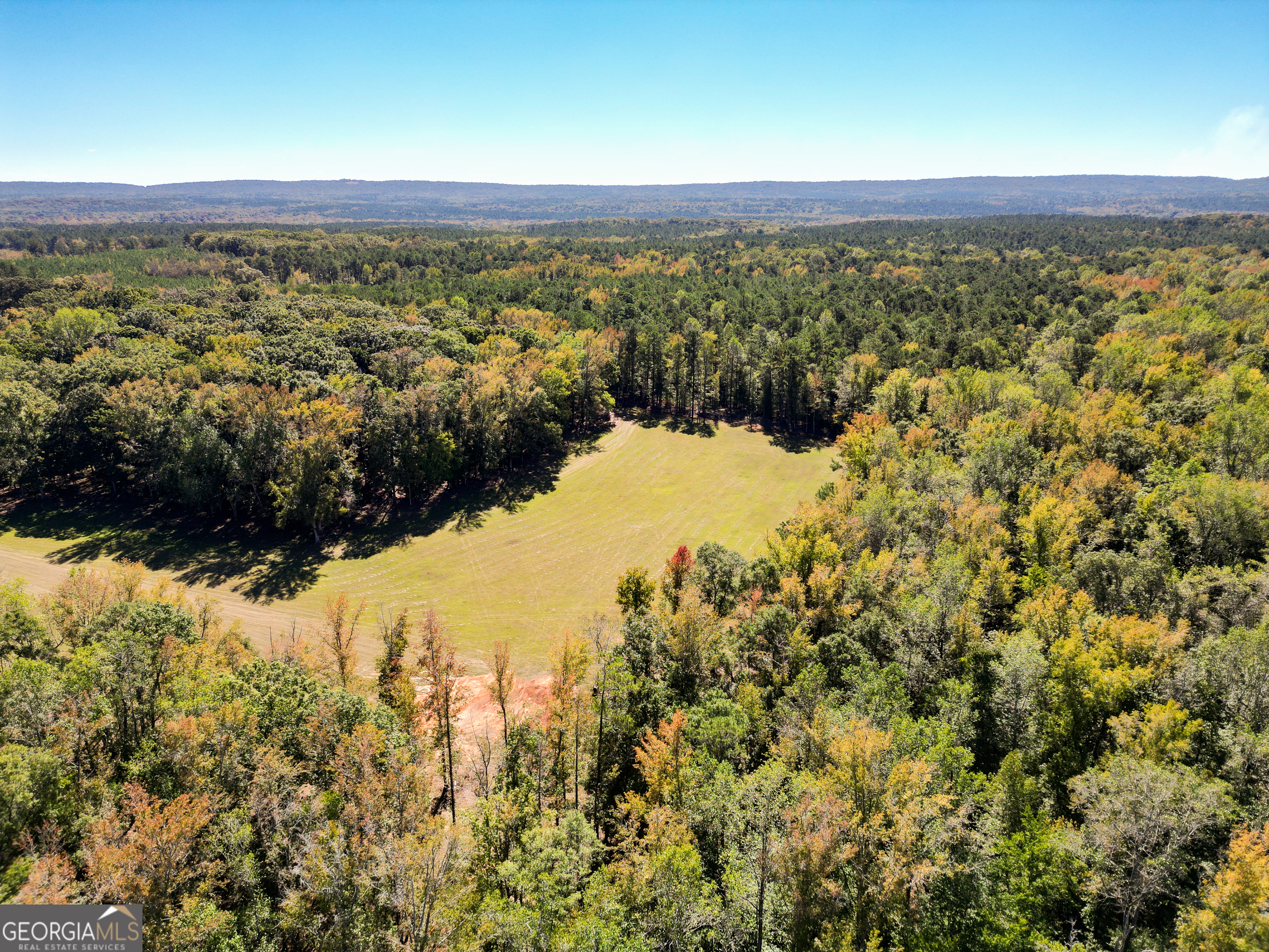 186 Beech Springs Road Pine Mountain, GA 31822 - Photo 28 of 59