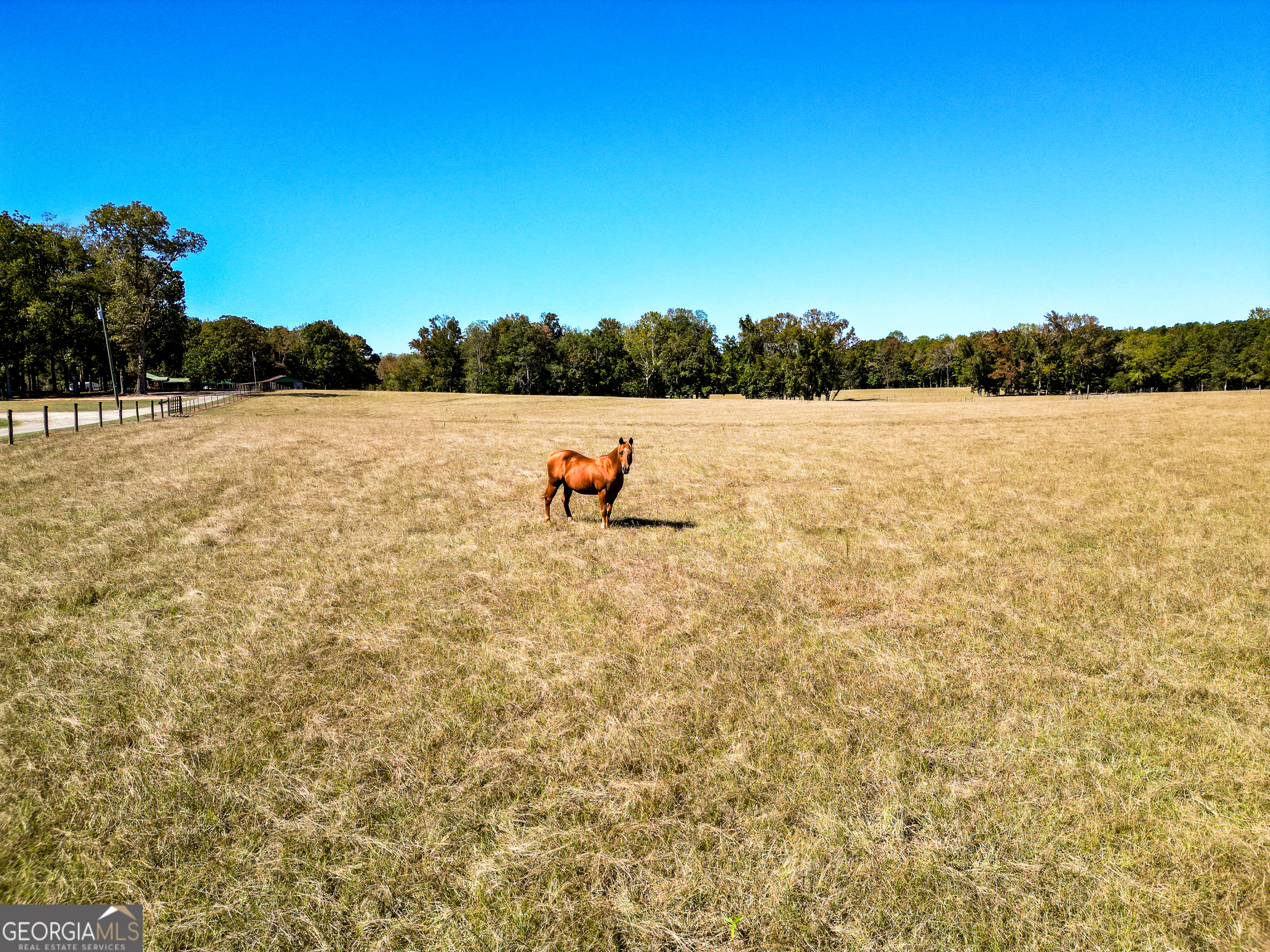 186 Beech Springs Road Pine Mountain, GA 31822 - Photo 38 of 59