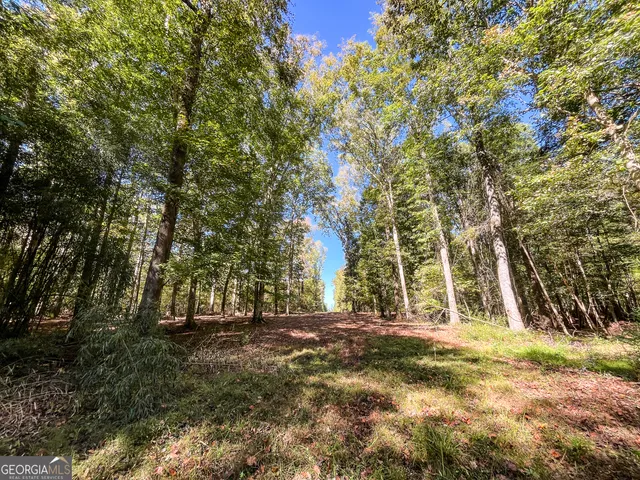 $1,499,900 | 186 Beech Springs Road, Pine Mountain, GA 31822