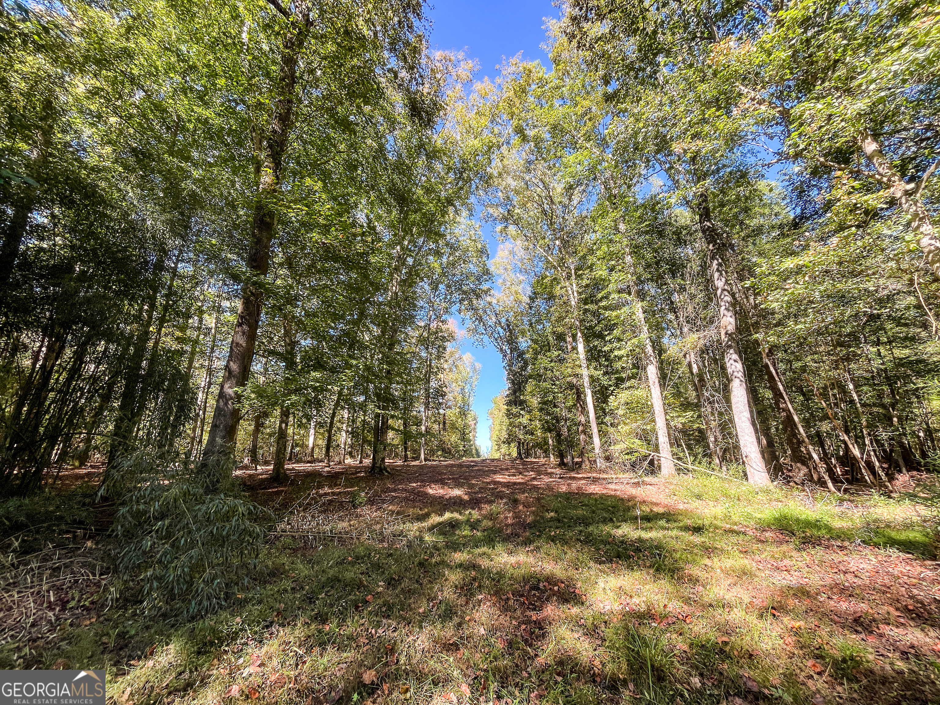 186 Beech Springs Road Pine Mountain, GA 31822 - Photo 46 of 59