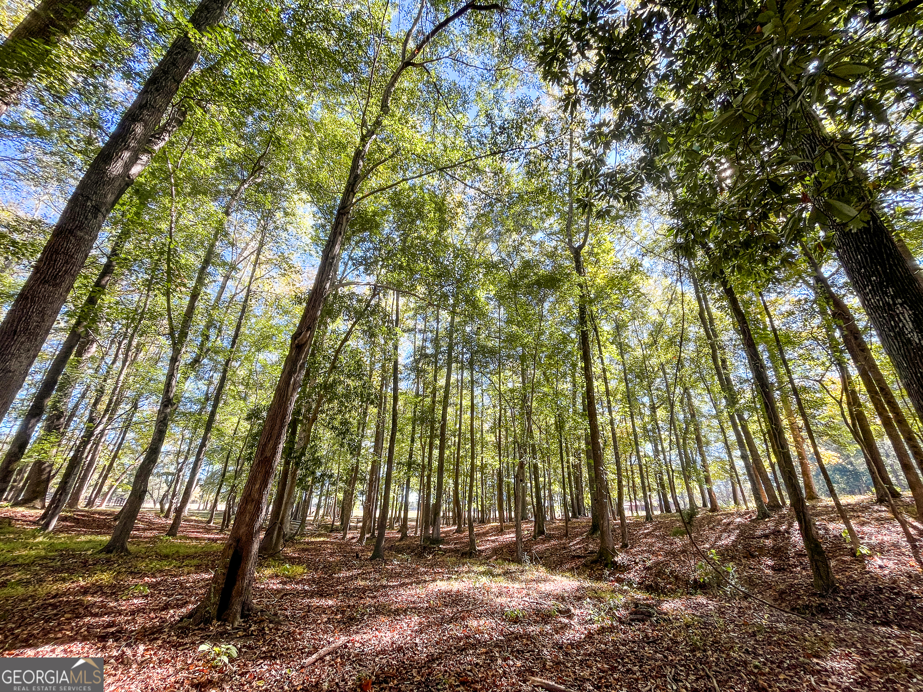 186 Beech Springs Road Pine Mountain, GA 31822 - Photo 47 of 59