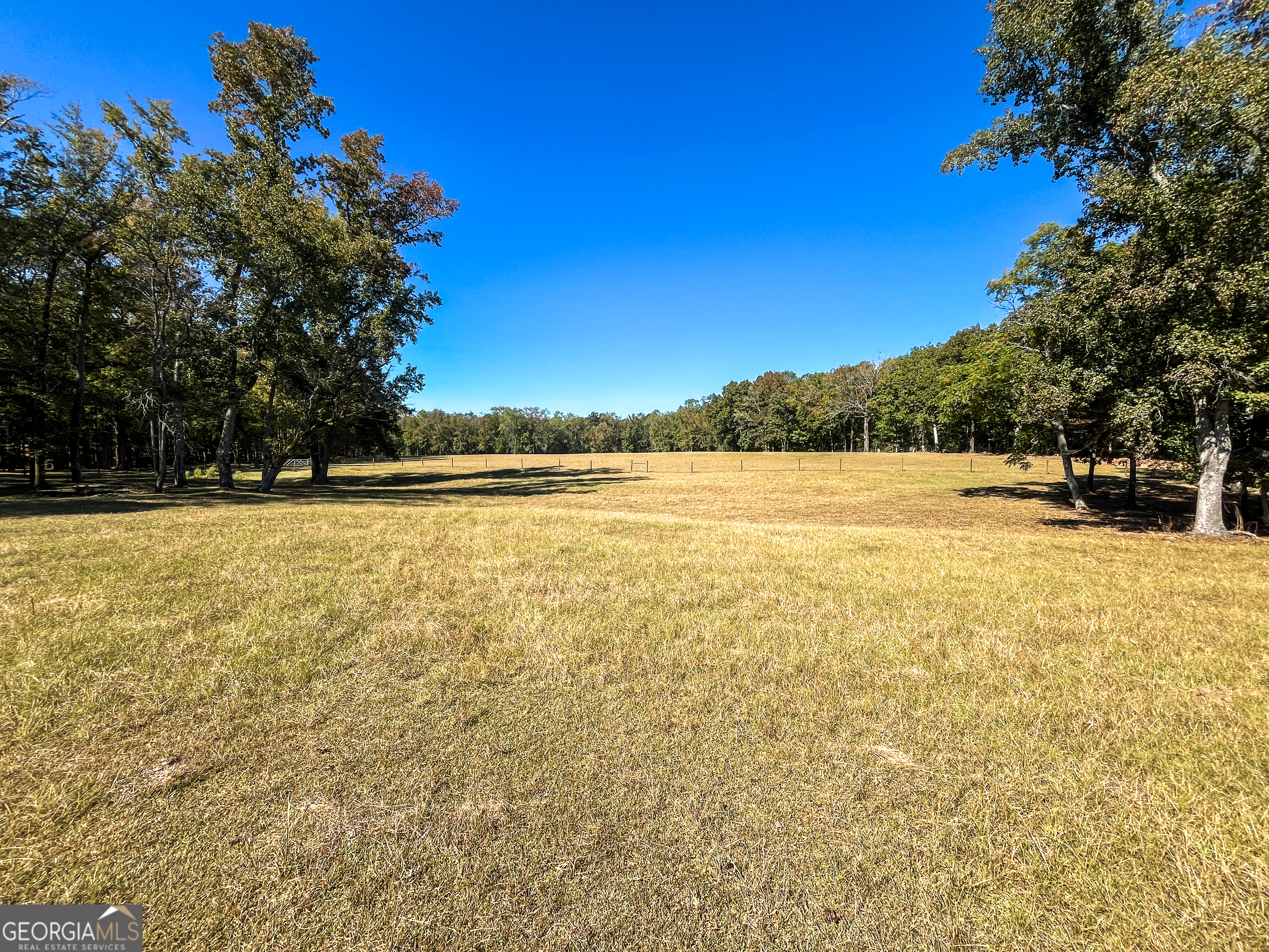 186 Beech Springs Road Pine Mountain, GA 31822 - Photo 53 of 59