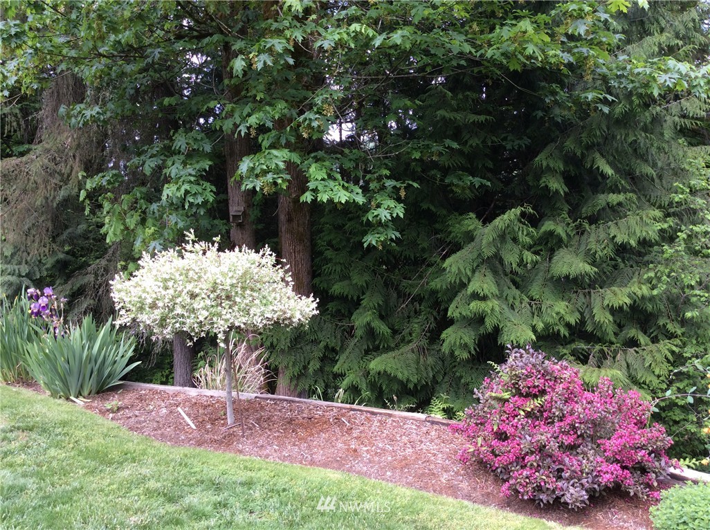 16520 Southeast 116th Place Renton, WA 98059 - Photo 15 of 18 Gallery Image 15