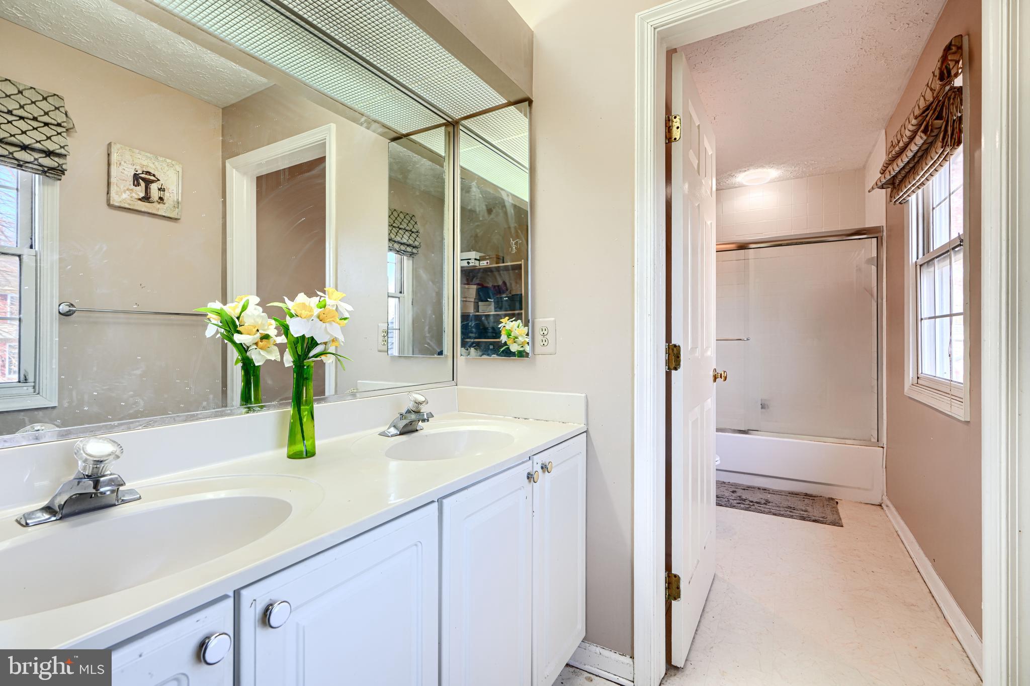 4 High Side Court Owings Mills, MD 21117 - Photo 22 of 30 a bathroom with a sink and a mirror