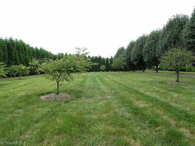 5911 Tarleton Drive Oak Ridge, NC 27310 - Photo 7 of 9 Other.