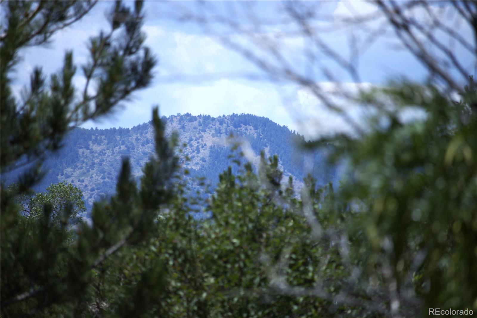 9655 Morrison Road Lakewood, CO 80227 - Photo 36 of 37