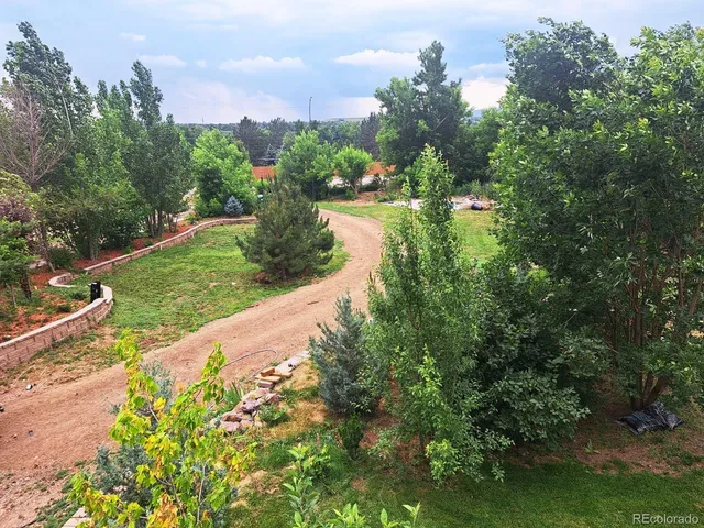 a view of a street with a yard and a building