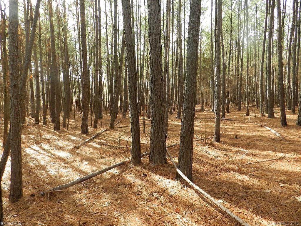 0 Landsford Road Monroe, NC 28112 - Photo 2 of 3