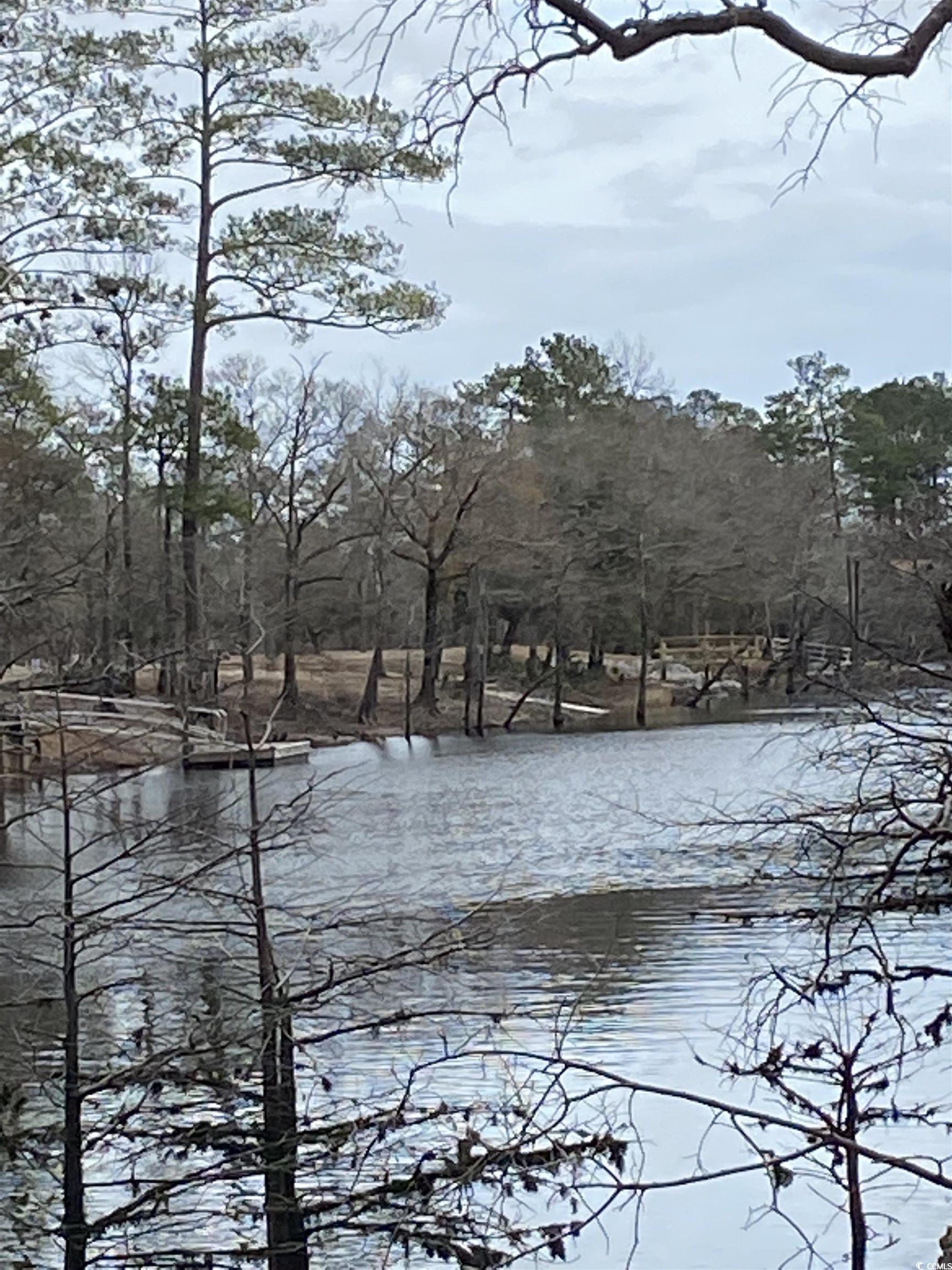 Tbd Tbd Hidden River Road Longs, SC 29568 - Photo 2 of 6 Water view